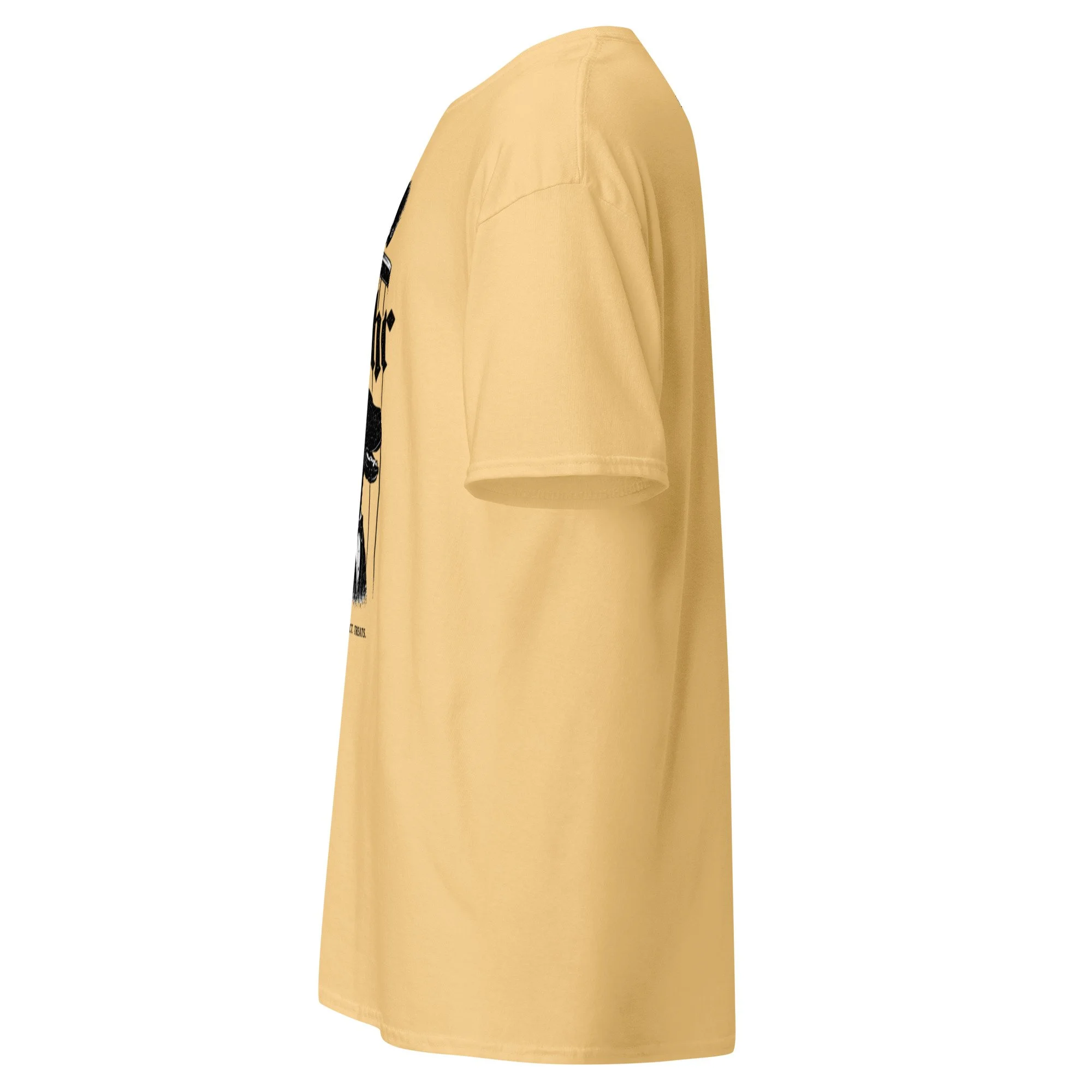 unisex-classic-tee-yellow-haze-left-69ed08efbf58e.jpg