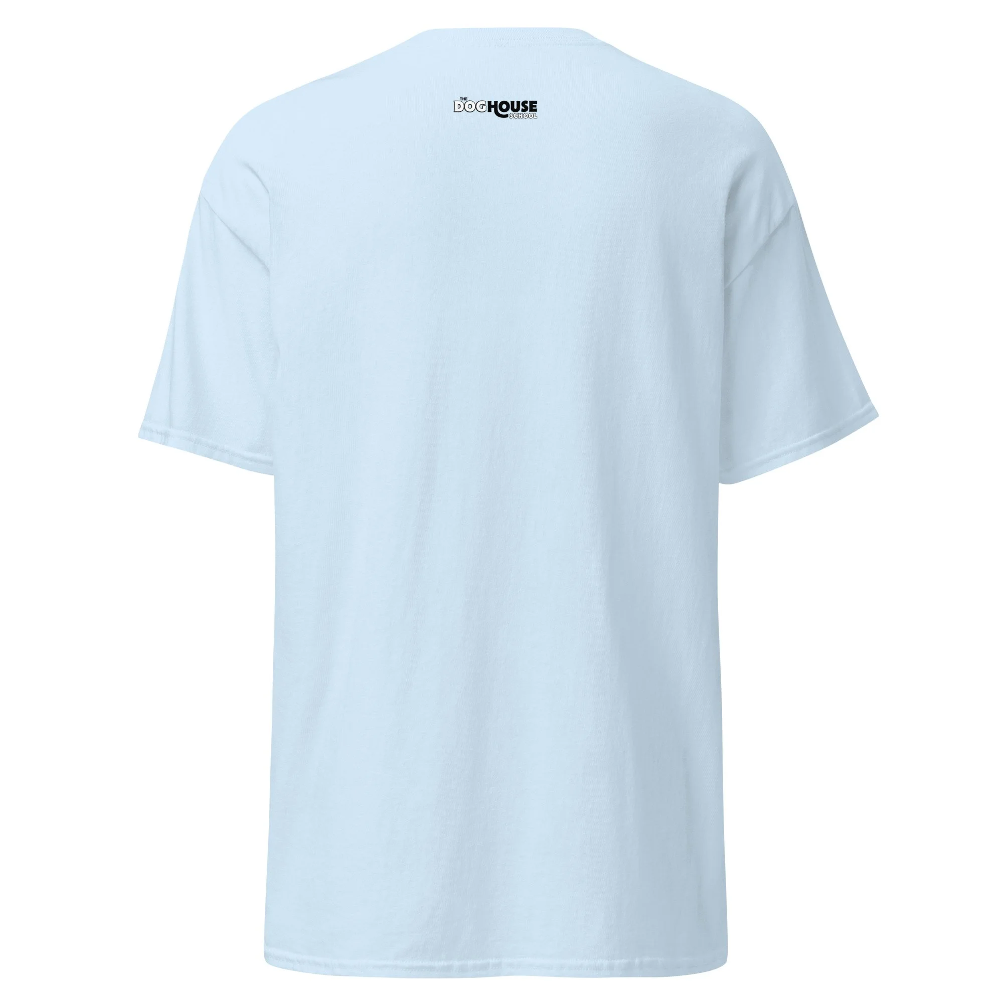 unisex-classic-tee-light-blue-back-69ed08efbc589.jpg