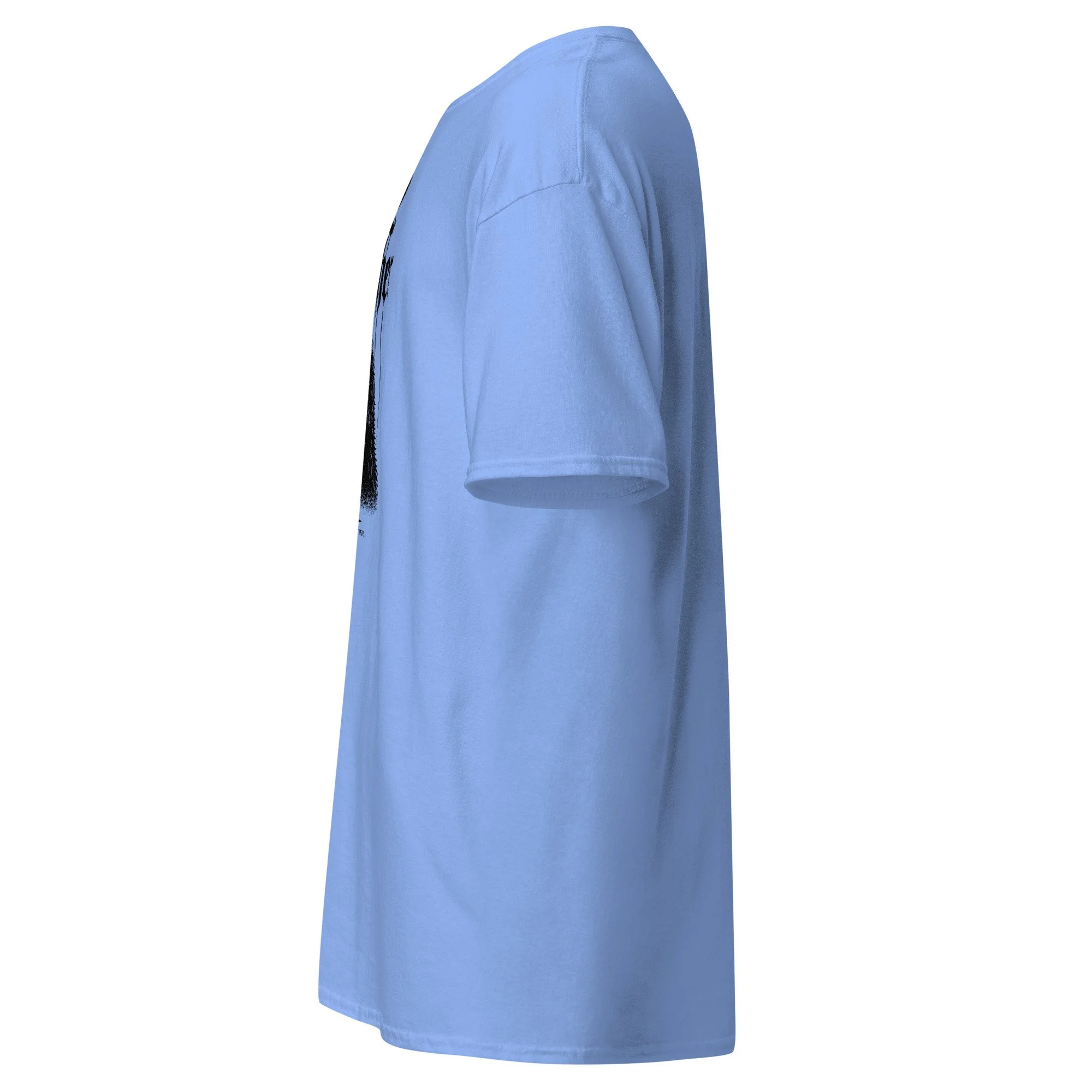 unisex-classic-tee-carolina-blue-left-69efbaee5adf7.jpg