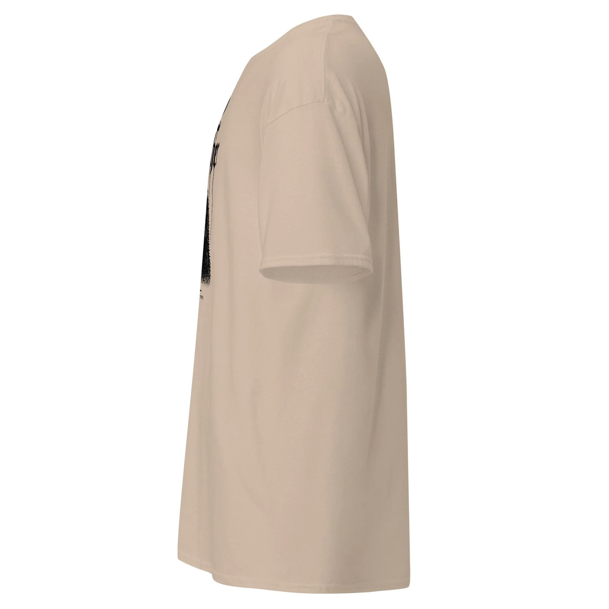 unisex-classic-tee-sand-left-69efbaee5afd9.jpg