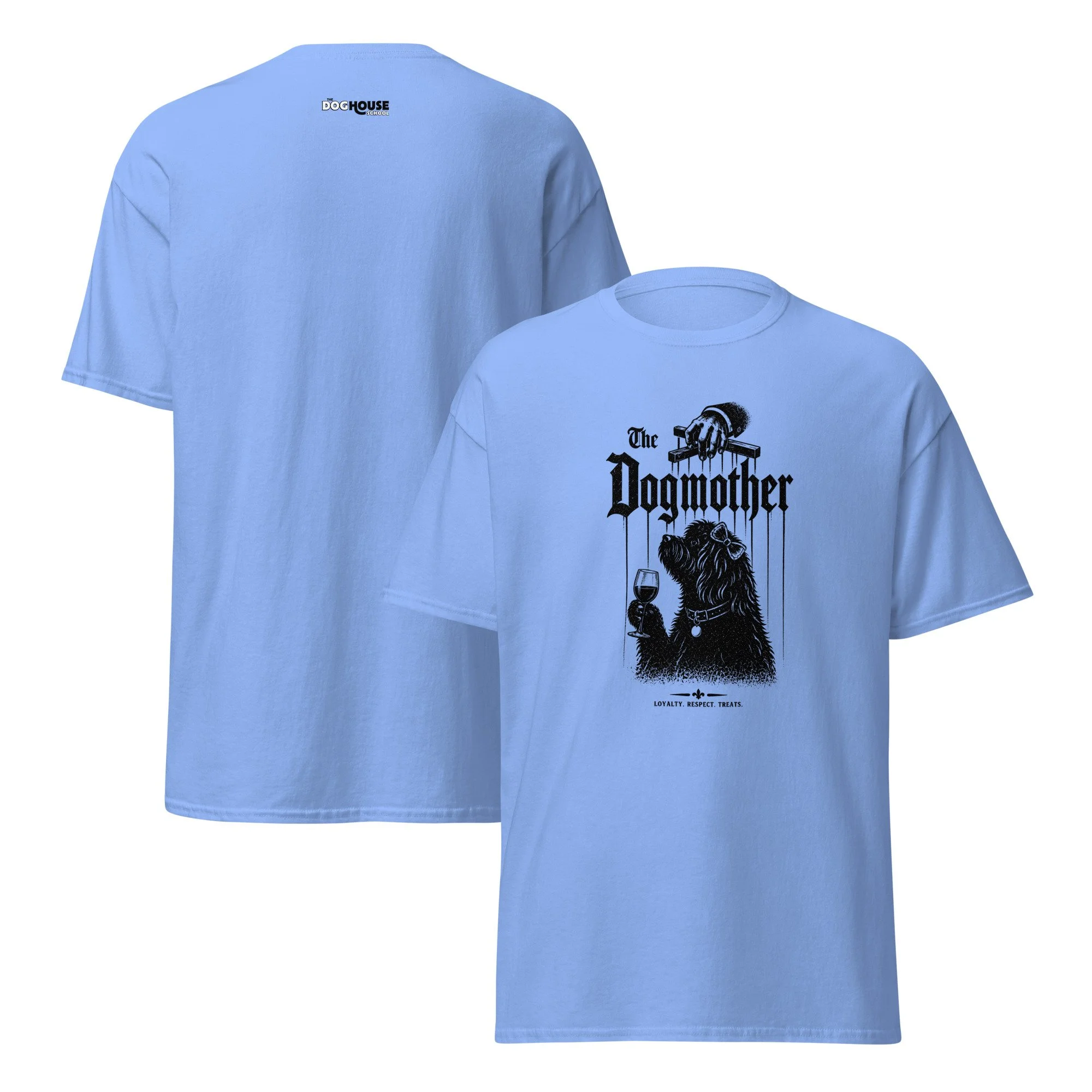 unisex-classic-tee-carolina-blue-front-and-back-69efcf931102c.jpg