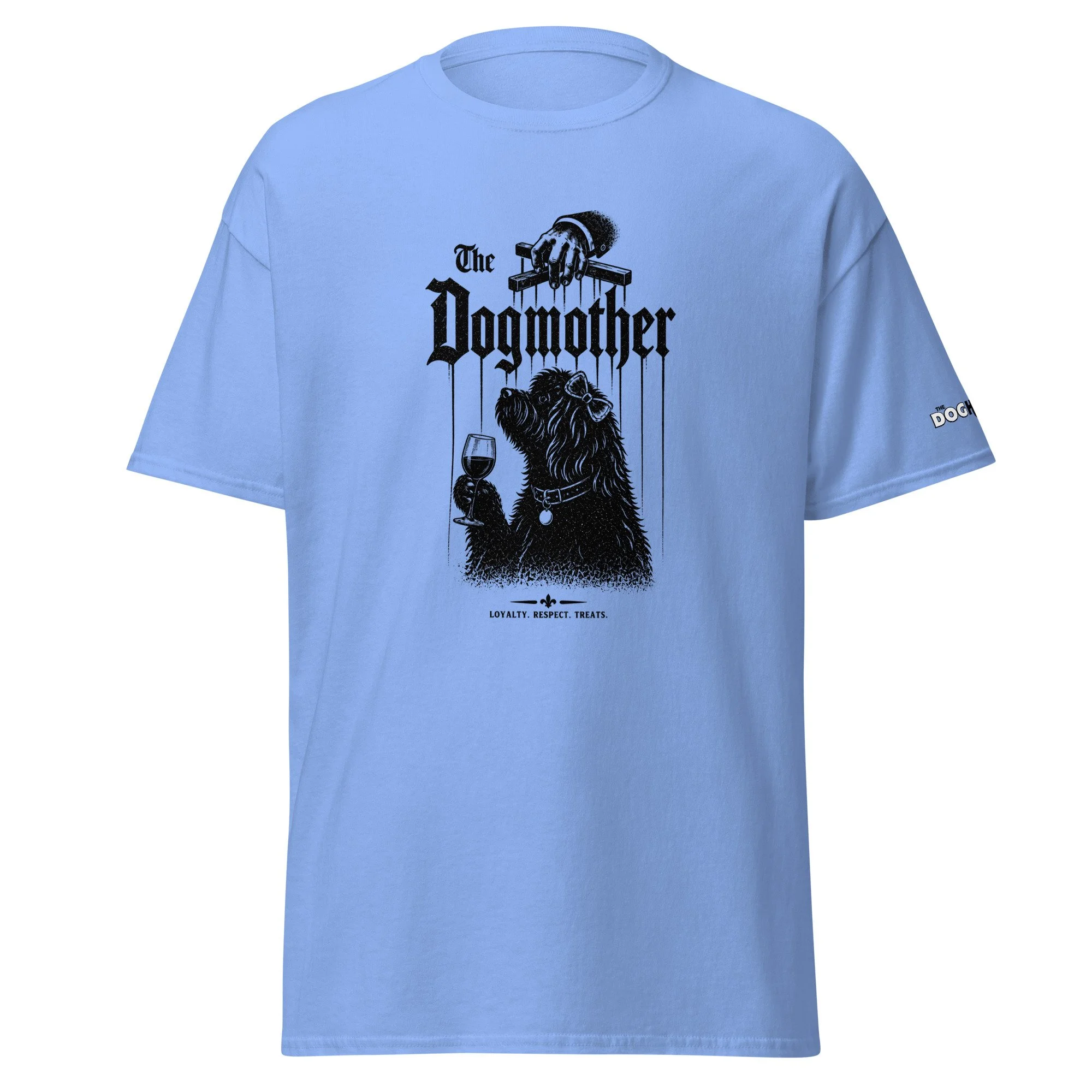 unisex-classic-tee-carolina-blue-front-69f0d439129b1.jpg
