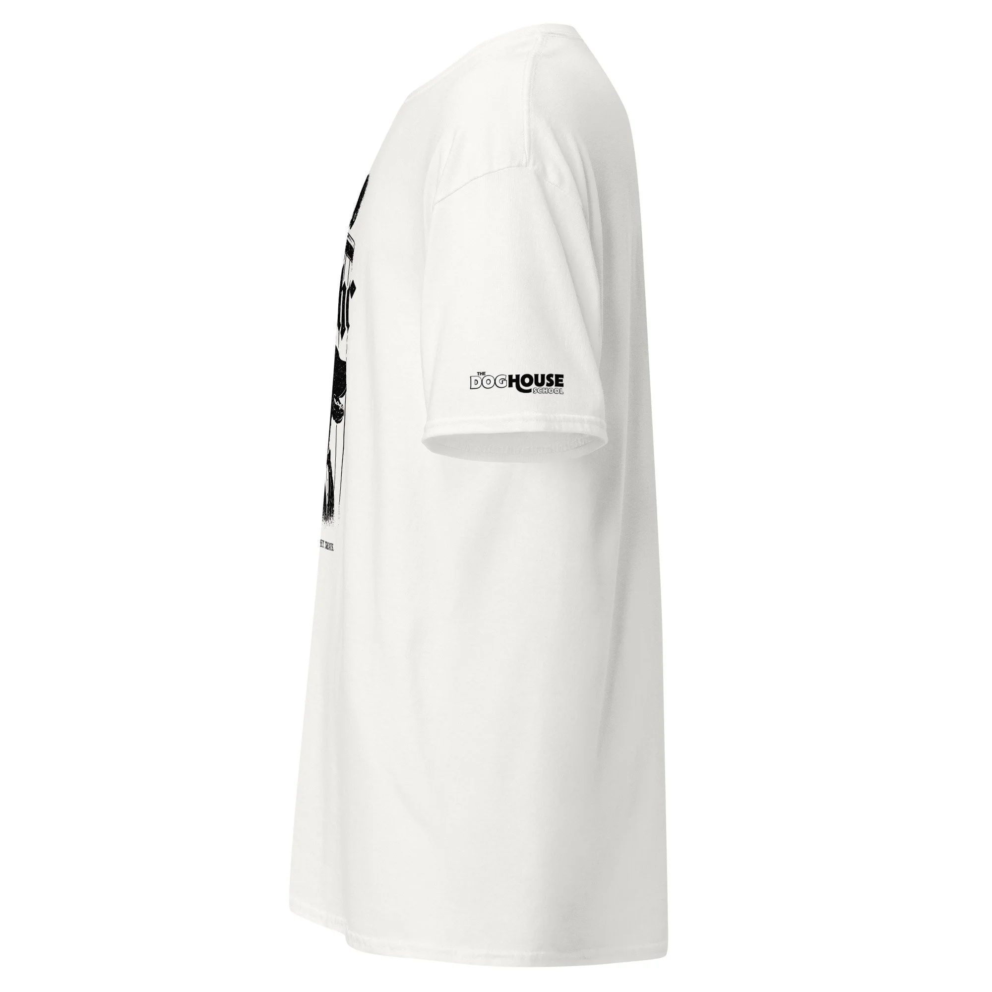 unisex-classic-tee-white-left-69f0e754cfbdb.jpg