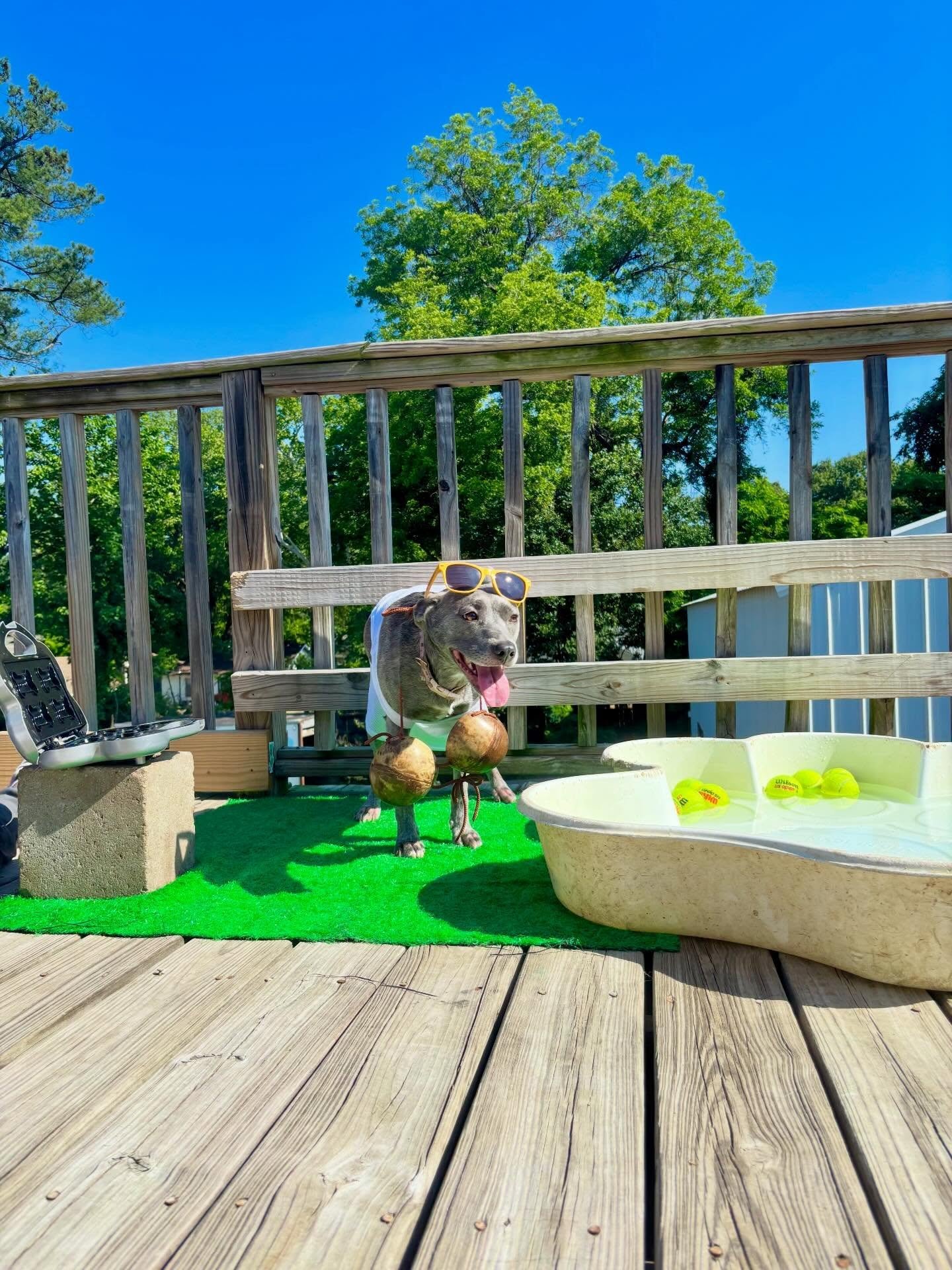 Wazzzz cookin, good lookin? 👀🍗 
Our #doghousepupilz took the Championship BBQ Cook-Off to the #nextlevel with a paw-some day of BBQ grillin&rsquo;, splashin&rsquo; toe beans in the kiddie pool, tail wags, sunshine, and smokin&rsquo; hot fun with fu