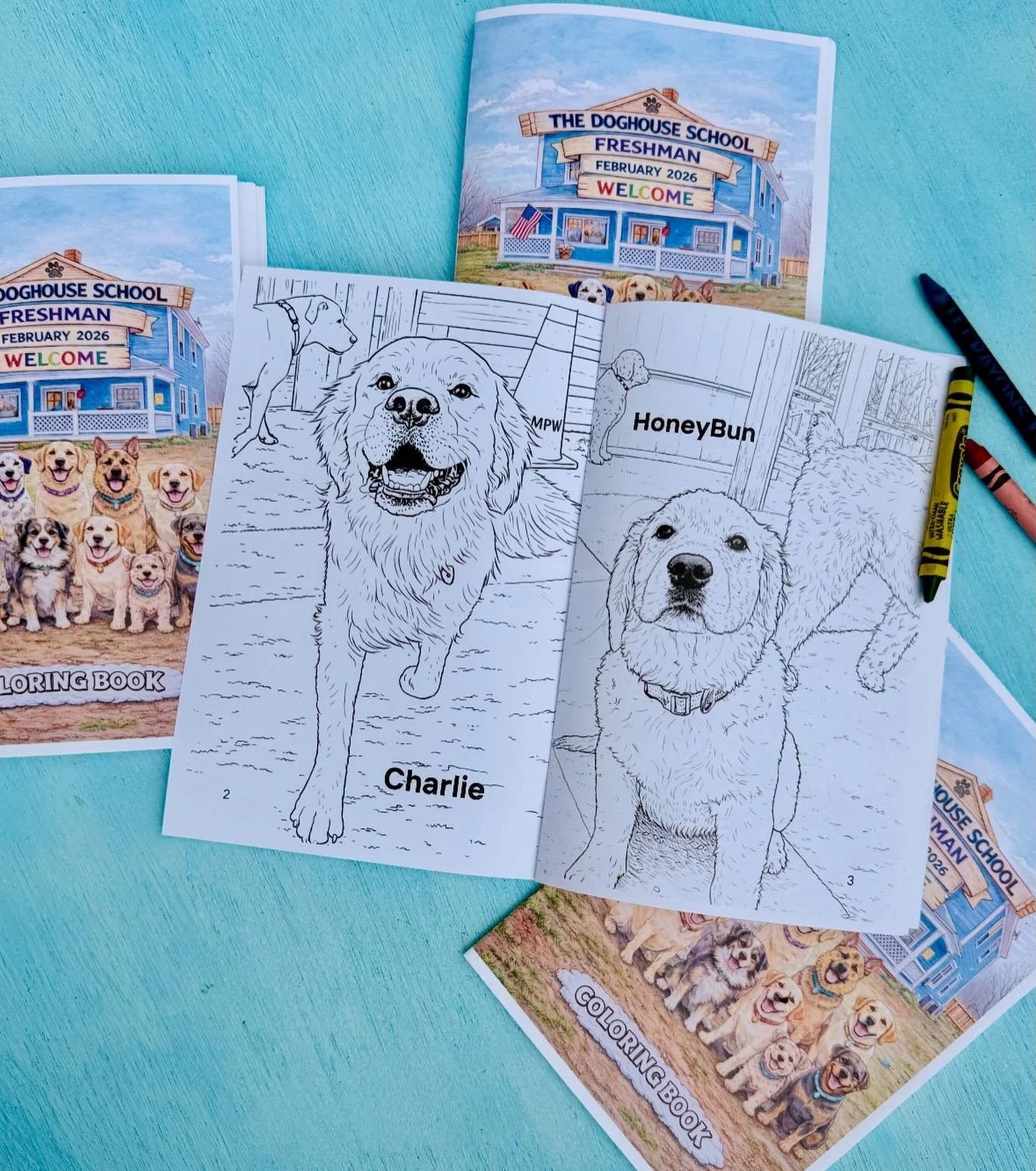 The 2026 Freshman February class is officially in the books&hellip; literally! 🐾🖍️
Grab our first Doghouse Coloring Booklet and color all of our newest students! 💙

#coloringpages #dogcoloringbook #dogdaycarefun #newkid #firstdayofschool
