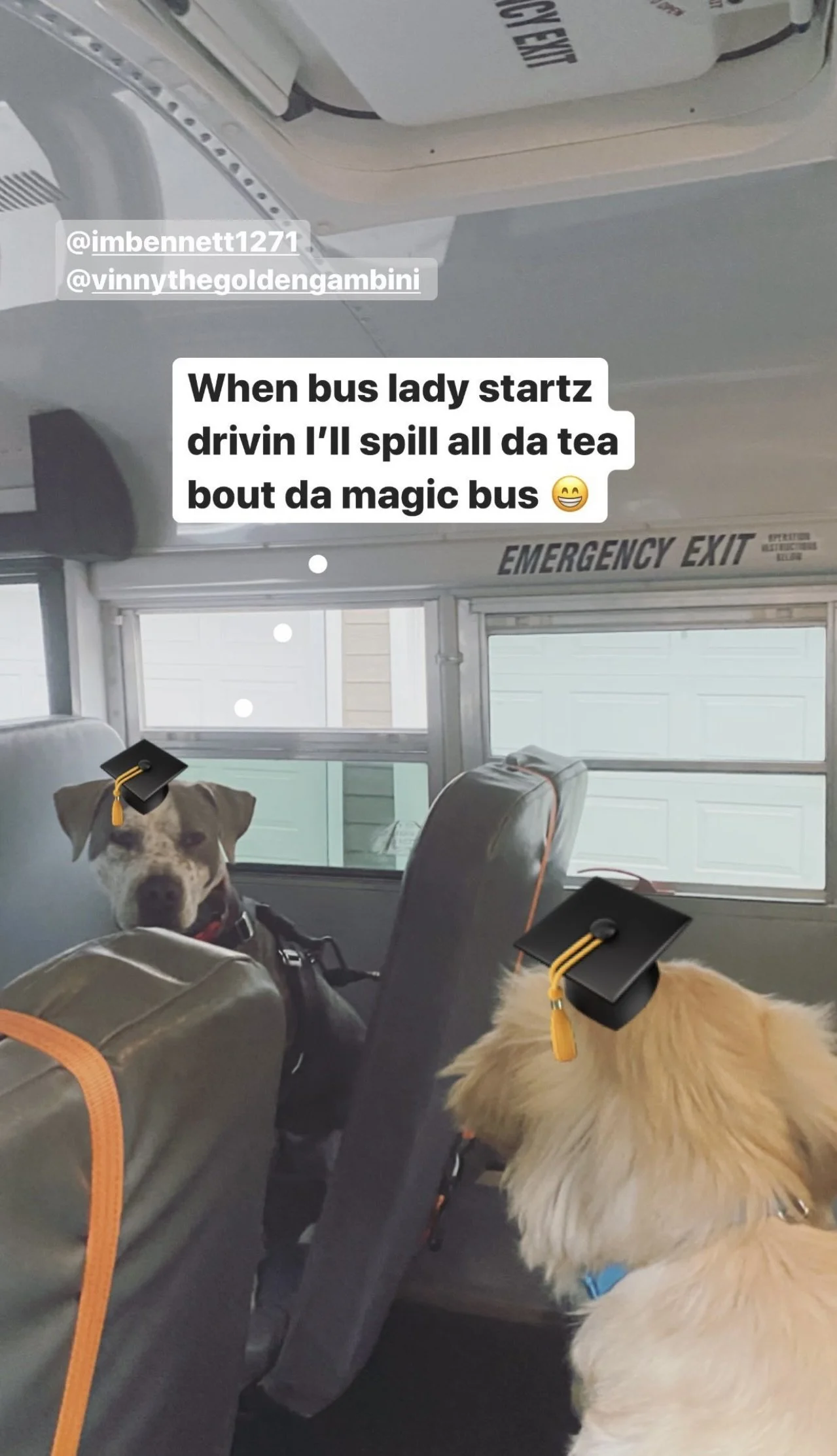 IMG_5772.jpeg