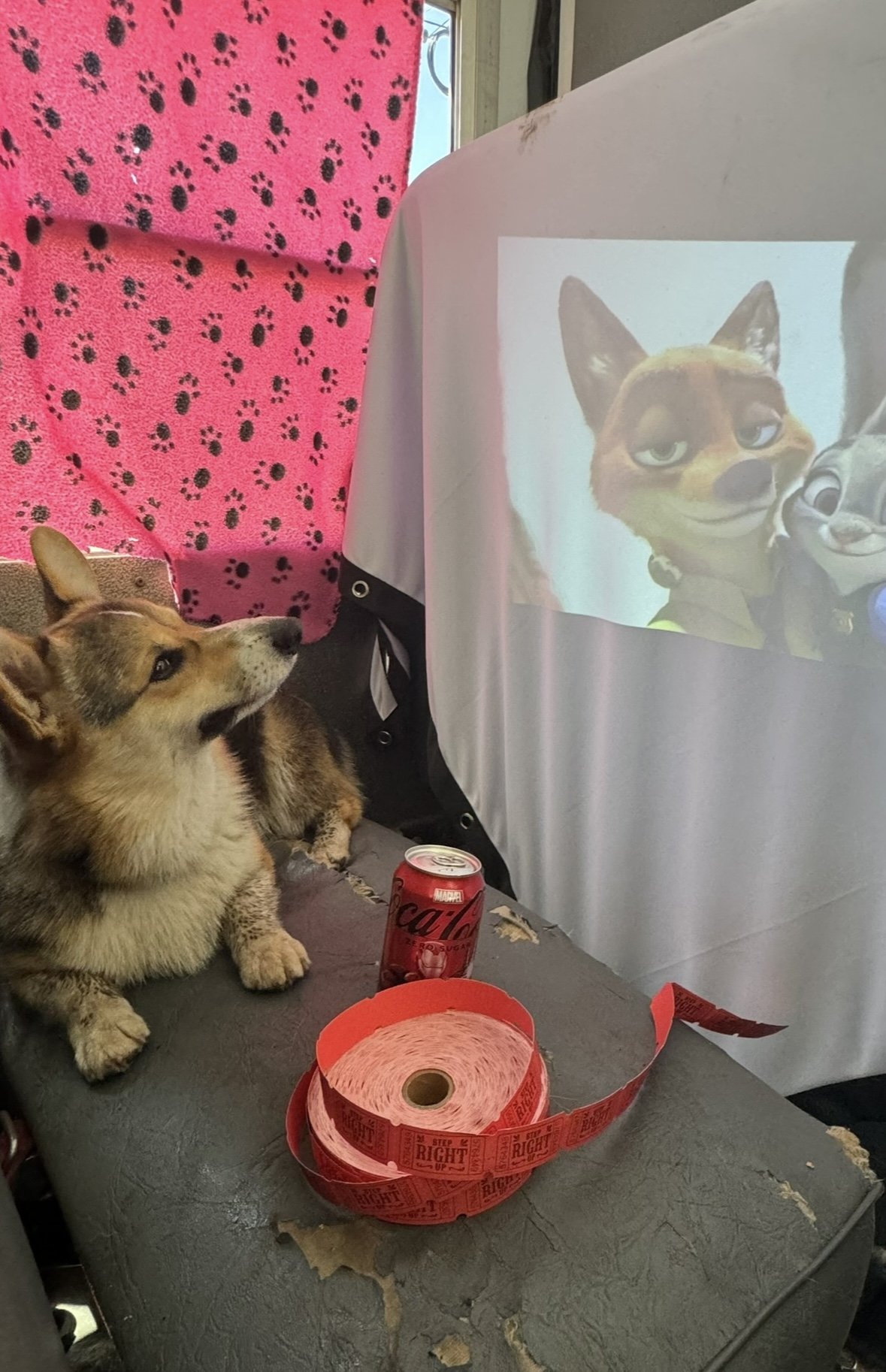 A Corgi dog sitting on a couch with a roll of red tickets and a can of Cola nearby, looking at a sheet displaying animated characters with a pink paw-print curtain in the background.