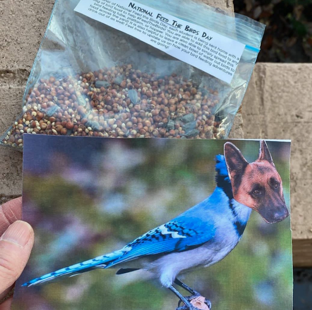 Bag of bird seed labeled "National Feed The Birds Day" with an edited photo of a bird with a dog's head, held by a person's hand.