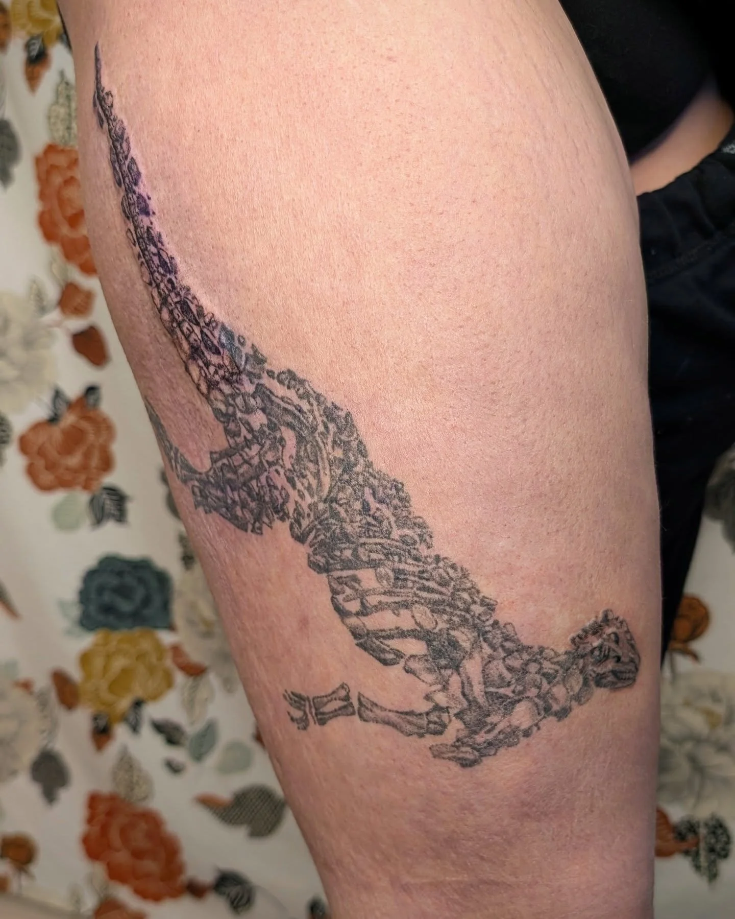 The David Sole Scelidosaurus for Jess, completed over four sessions. I am so pleased to finally have finished this project, thank you thank you thank you Jess for your commitment and trust with this piece 🙏🖤. Tail is fresh, the rest is healed 1.5-2