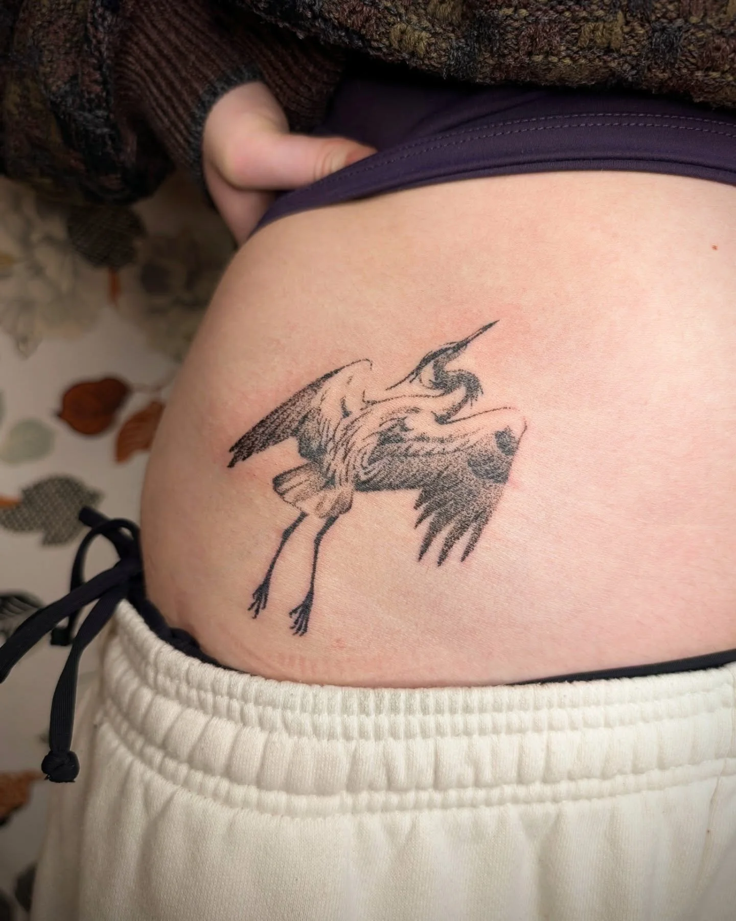 Great blue heron first tattoo for Jessie, thank you so so much for the trust, I loved making this piece 🙏

.
.
.
#tattoo #handpoke #qttr #ottawatattoo #birdtattoo