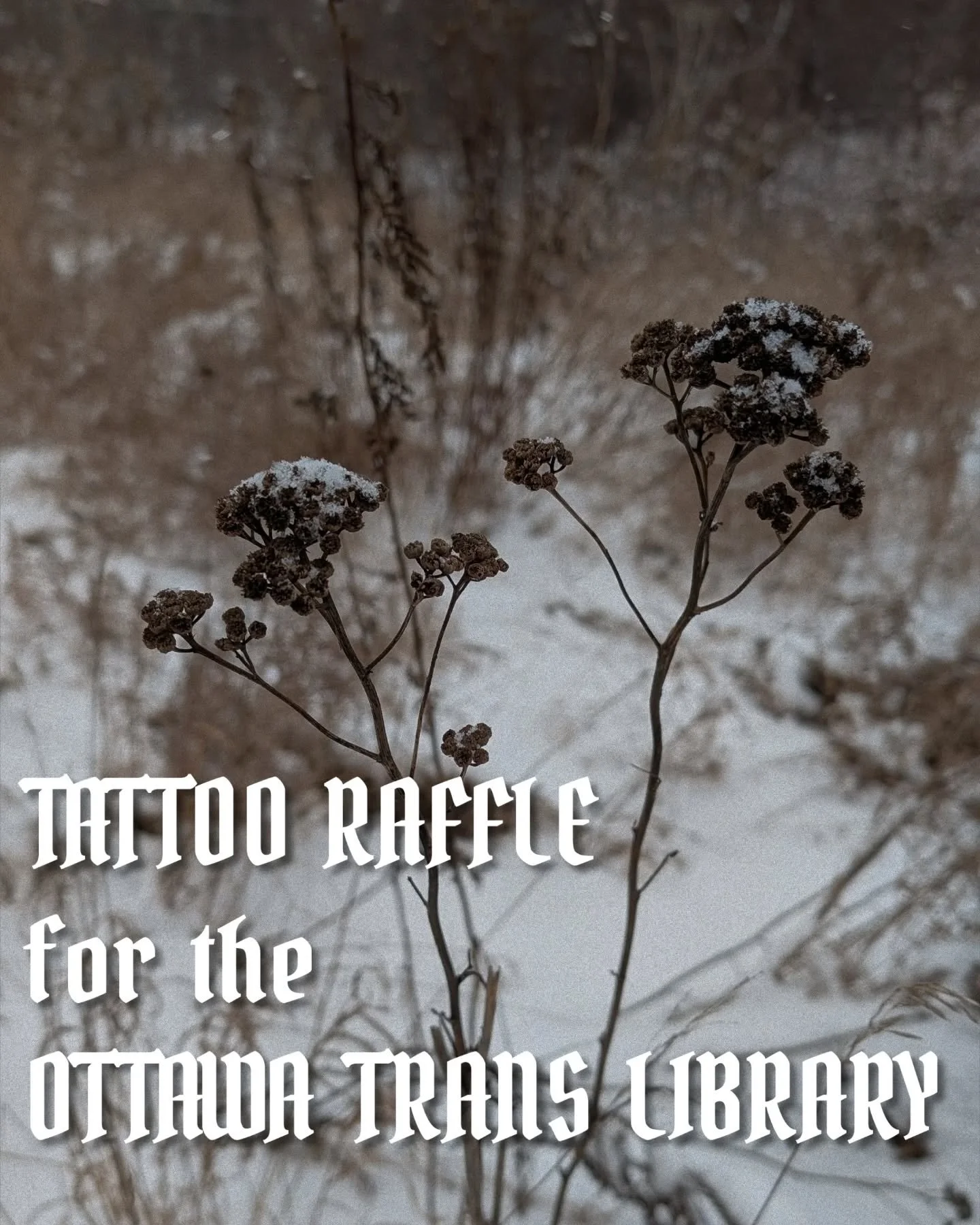 Making a post because I think some of y'all missed the raffle details, or my stories don't get many views!

From now until March 28th you can enter a raffle to win a FREE TATTOO from me (up to $300 value)! ALL proceeds from this raffle will be donate