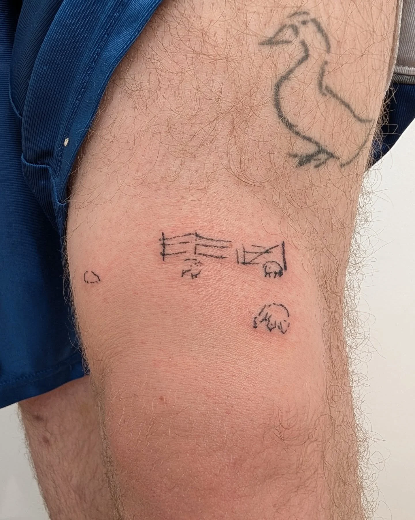 Sheep from Arthur Morgan's sketchbook for Drew, underneath a healed Arthur Morgan duck from a year or so ago. Thanks as always 🩵

.
.
.
#tattoo #handpoke #qttr #ottawatattoo #reddeadredemption