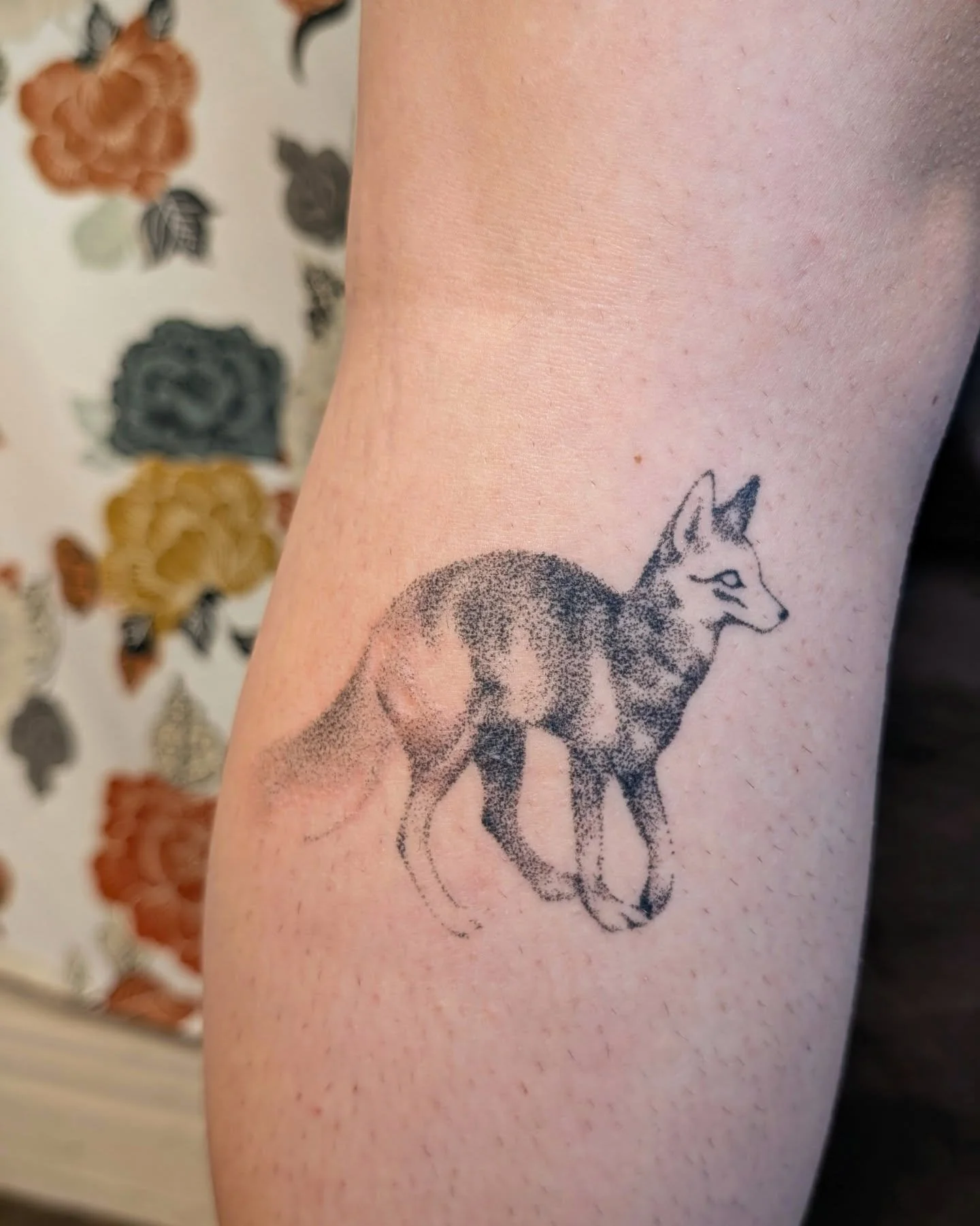 Ghost fox from my flash for Aimee, thank you so much for adopting this guy. Healed five weeks here except the tail!

.
.
.
#tattoo #handpoke #handpokecommunity #qttr #ottawatattoo