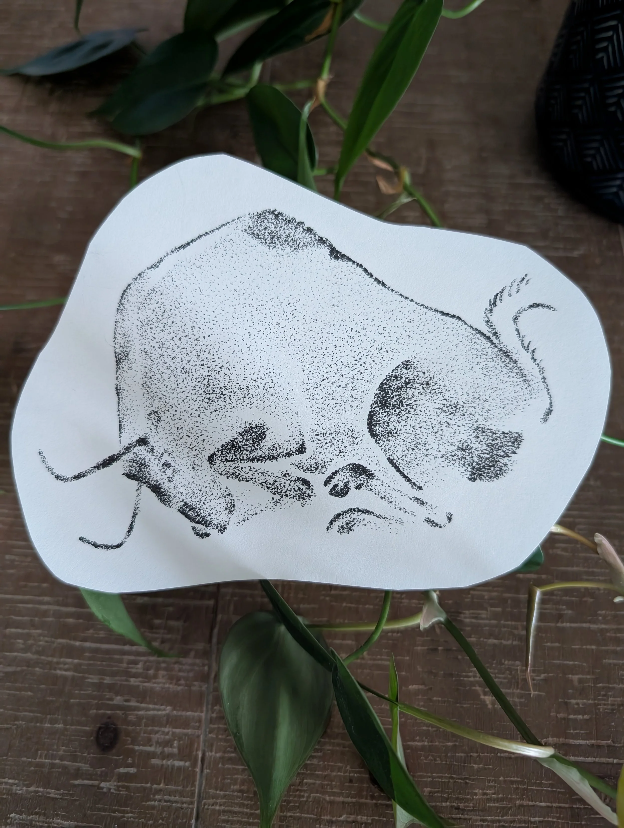 Altamira - Coiled Bison - 5x4 inches - $400