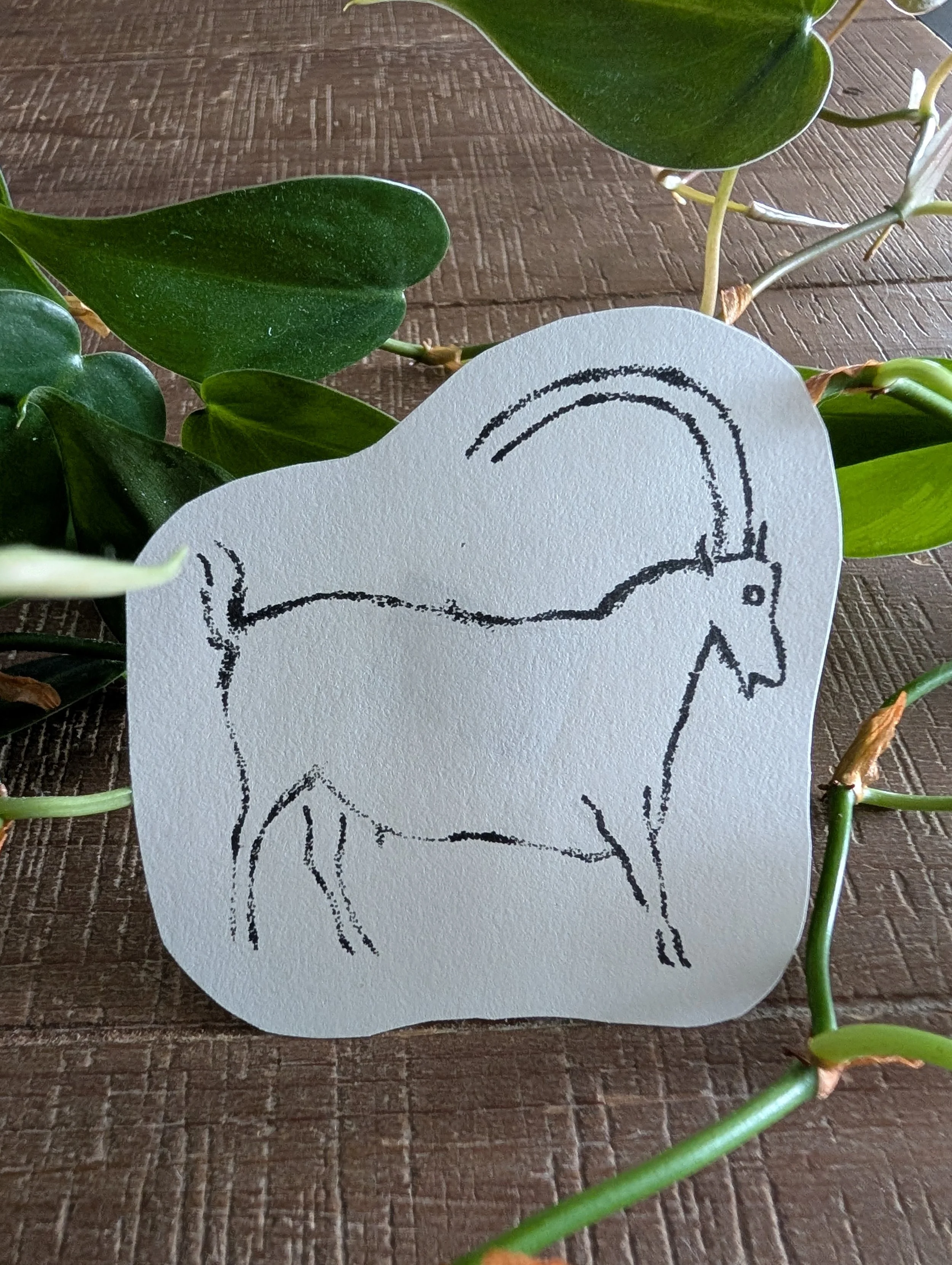 Rouffignac - Ibex - 3 inches - $150