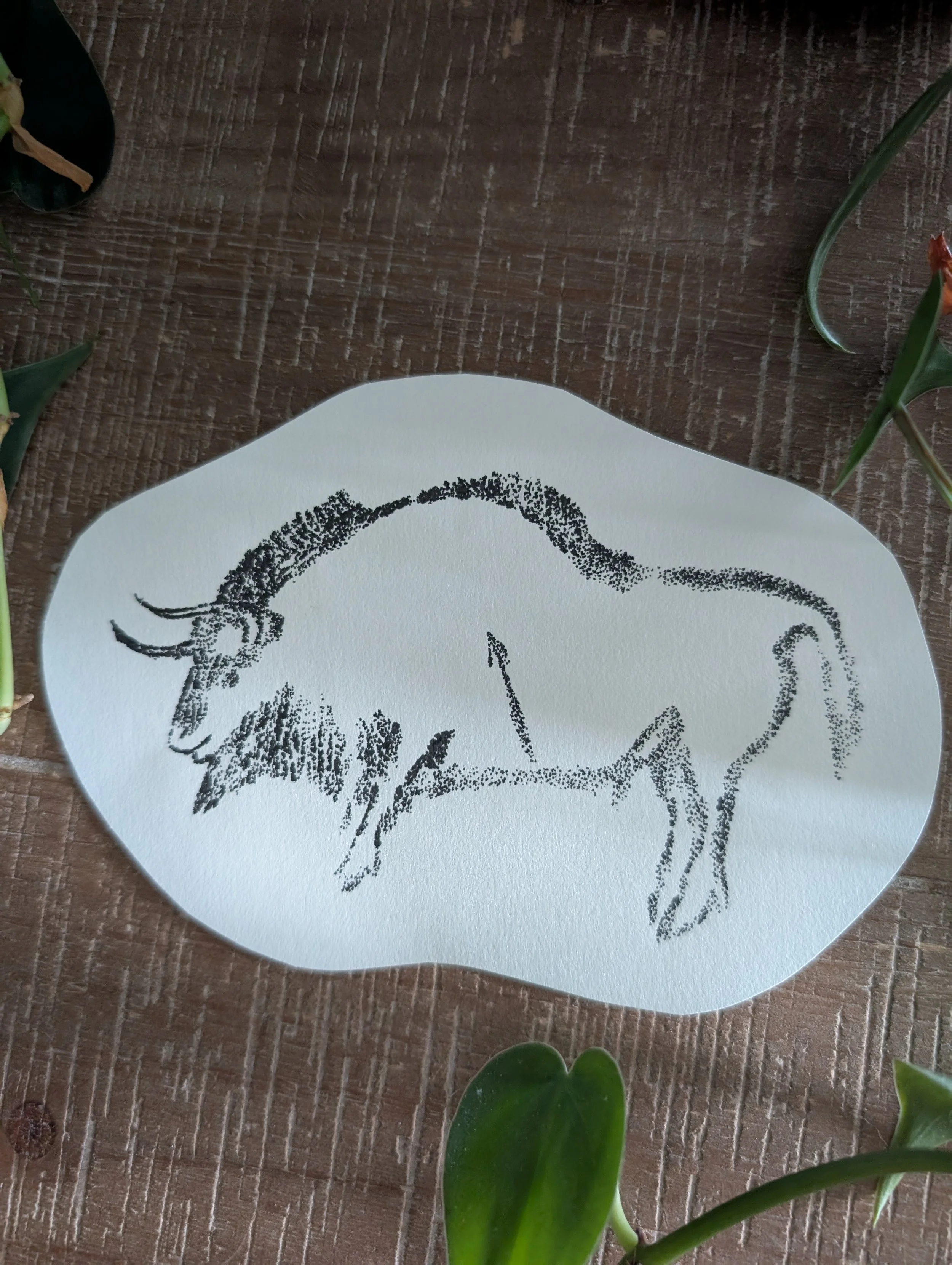 Niaux - Bison - 4.5 inches - $250