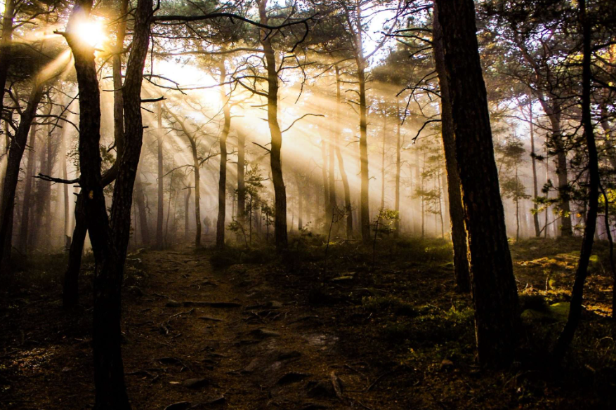 Buiten de gebaande paden ontdekken we The Trail Architect.