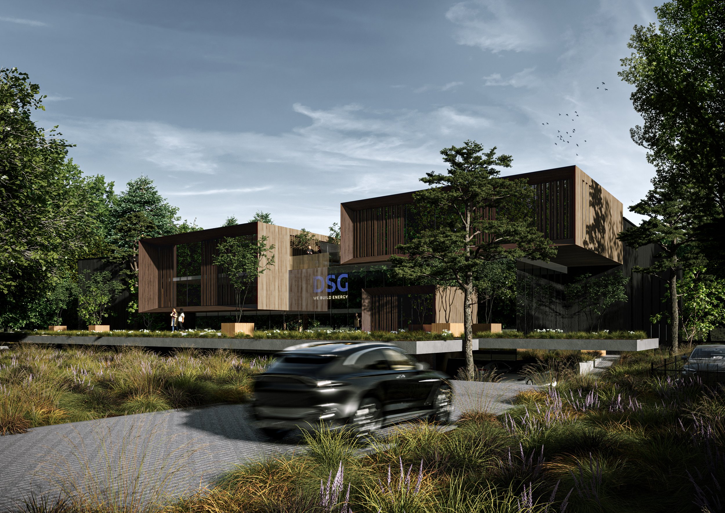 DSG visualization_V4 Digital.jpg