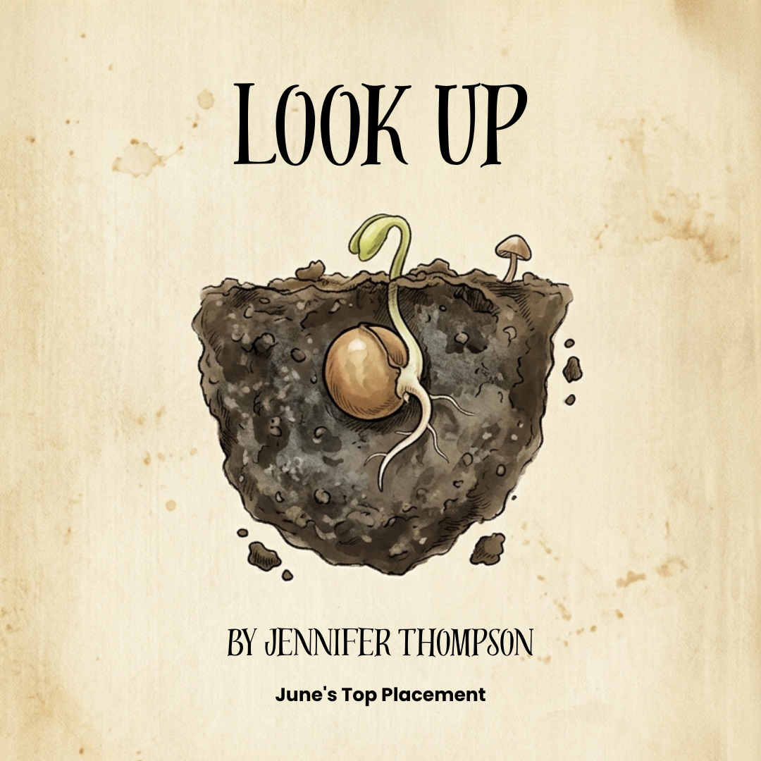 ‘Look Up’ by Jennifer Thompson