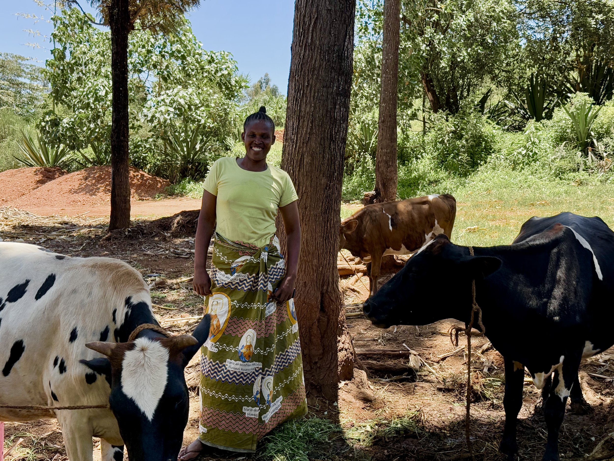 Yohana has several businesses, including dairy cows, bricks and vegetables