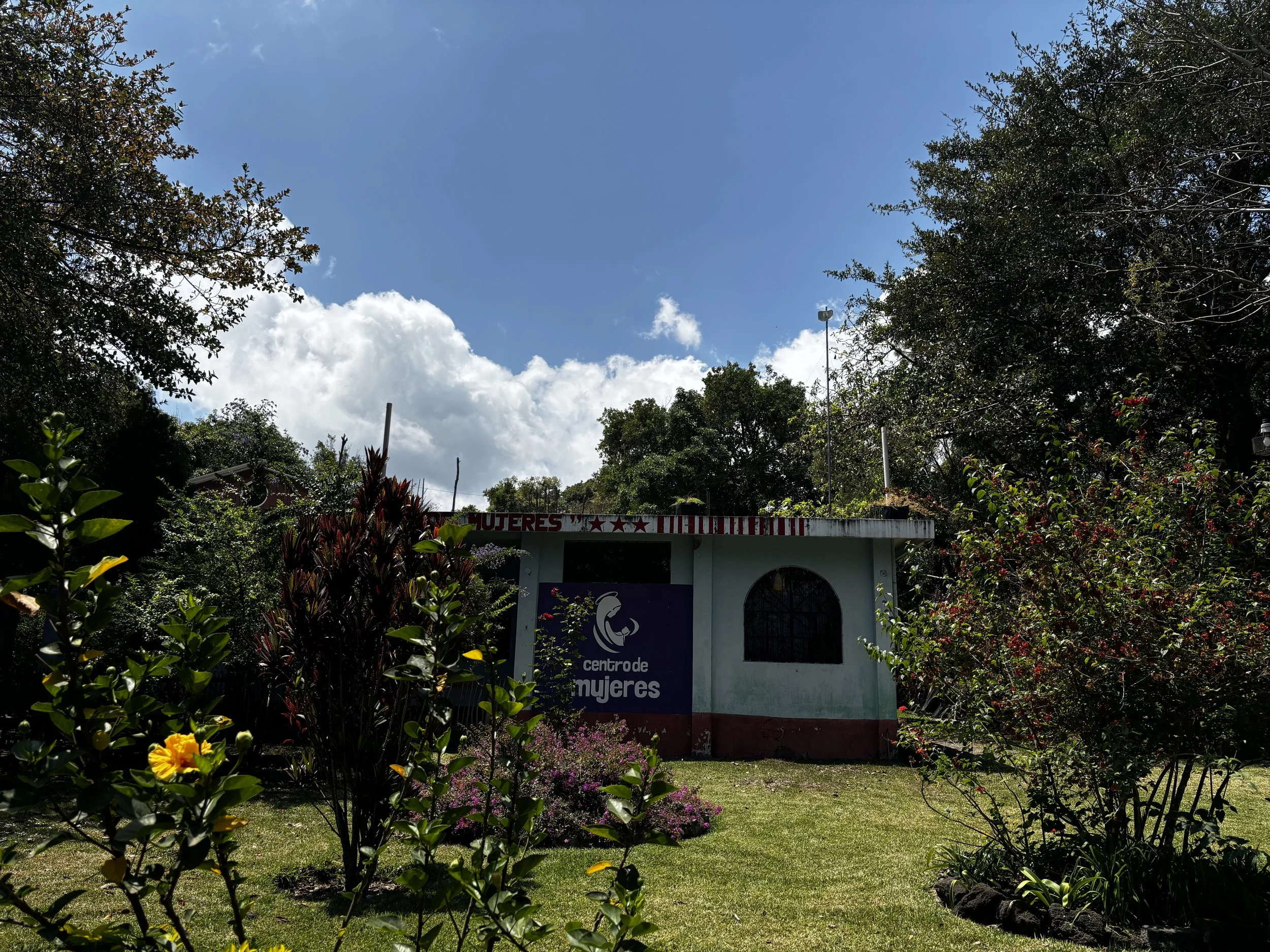 IMG_6078.jpeg