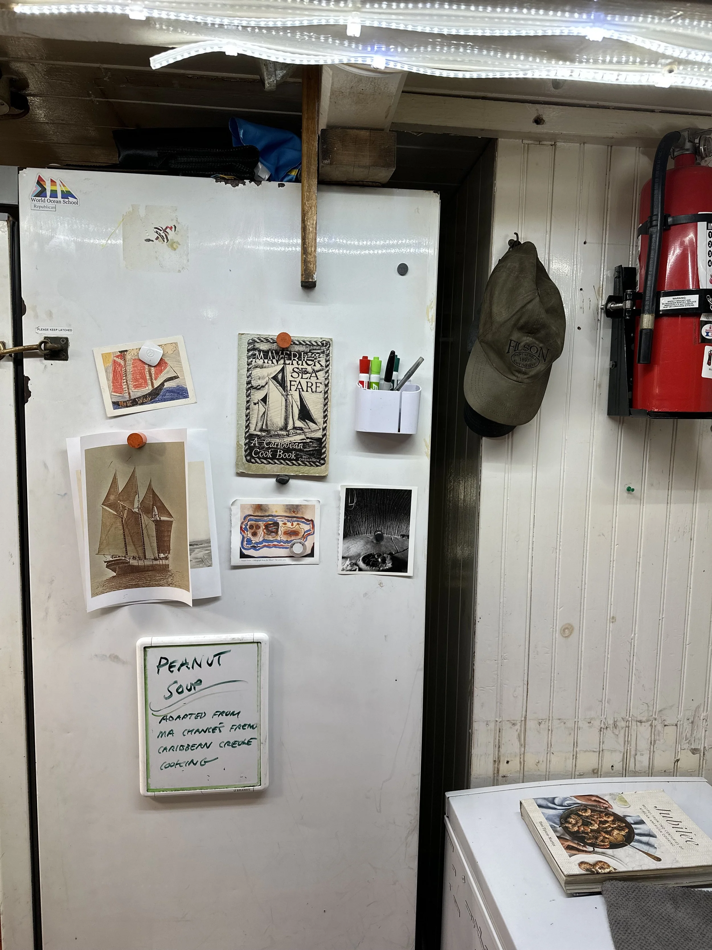 IMG_7801.jpeg