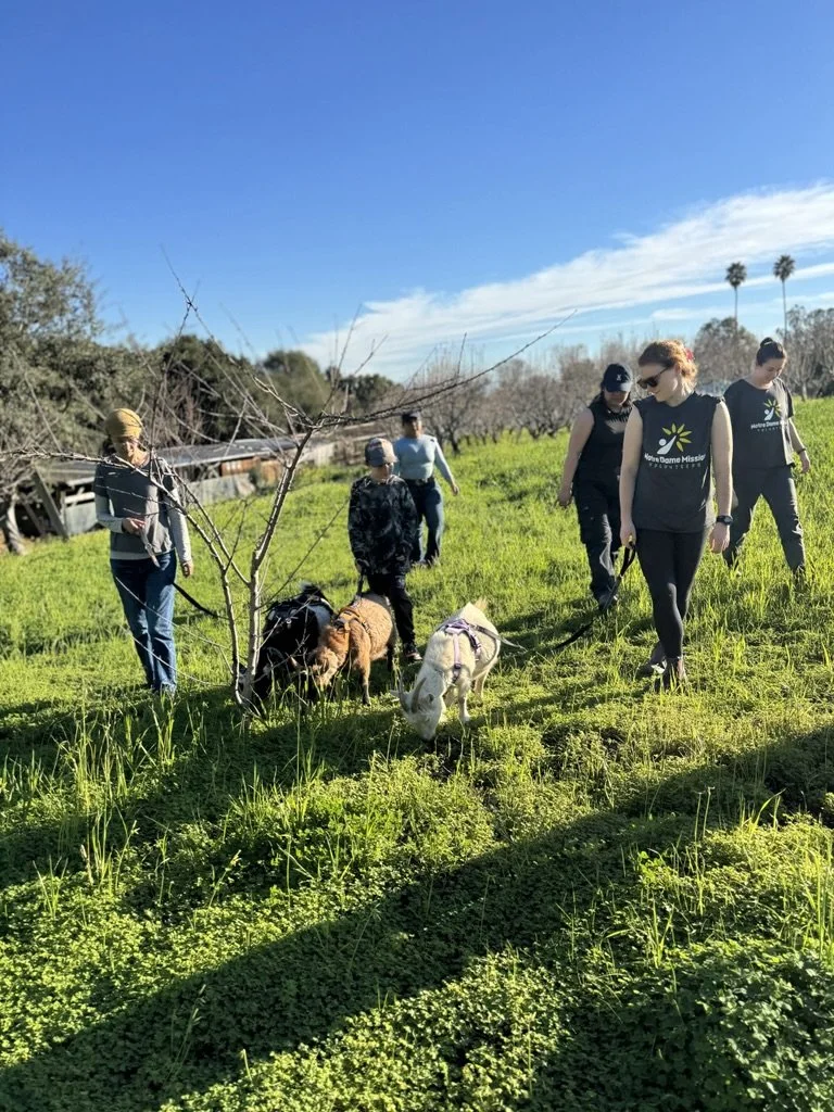Finding Purpose in the Detour