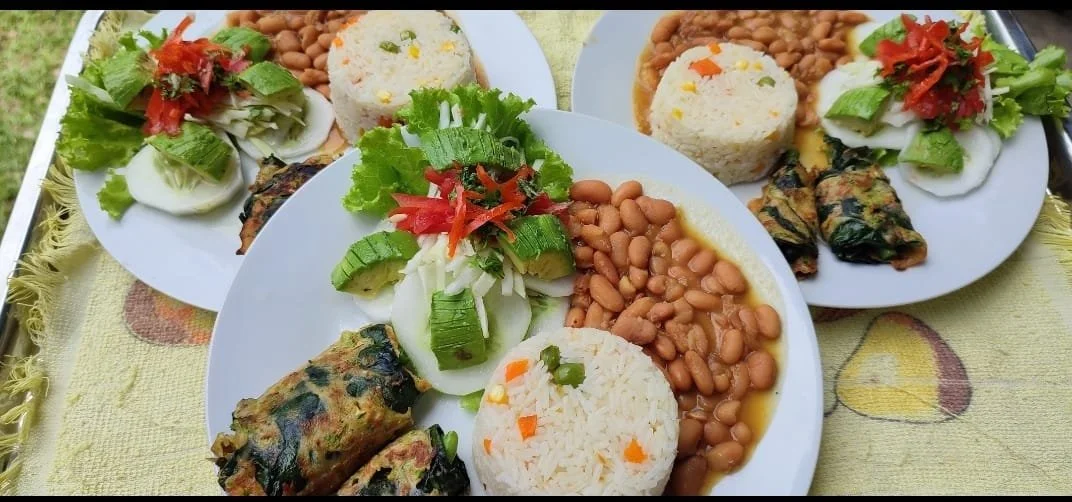 A plate of food at Healing Center Usurpaki DAS, Iquitos, Peru