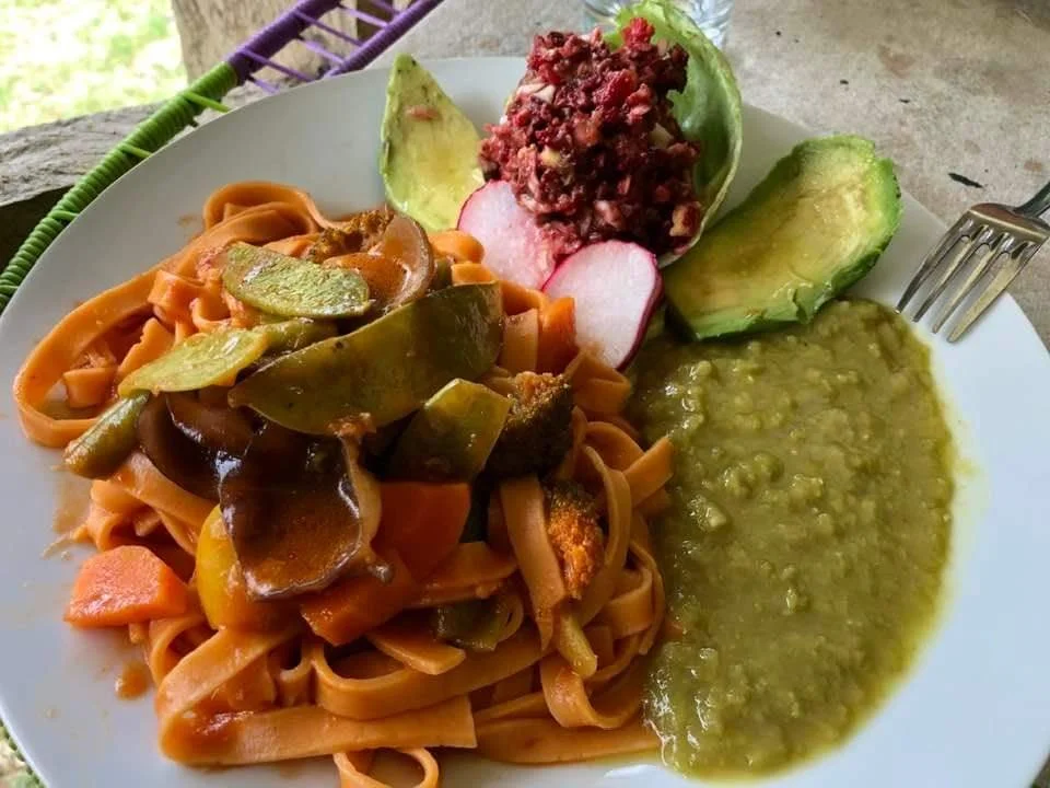 A plate of food at Healing Center Usurpaki DAS, Iquitos, Peru