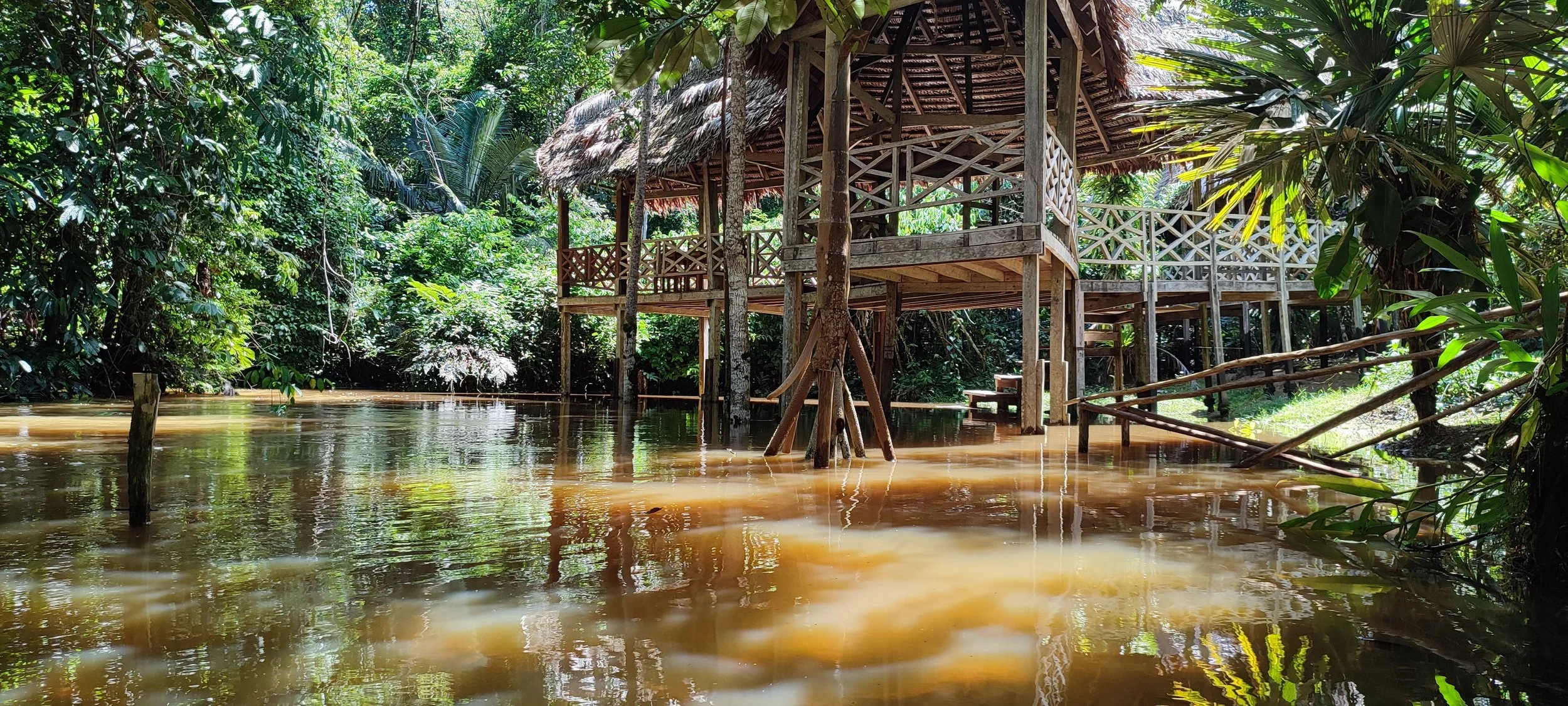 A wooden house on stilts at Healing Center Usurpaki DAS