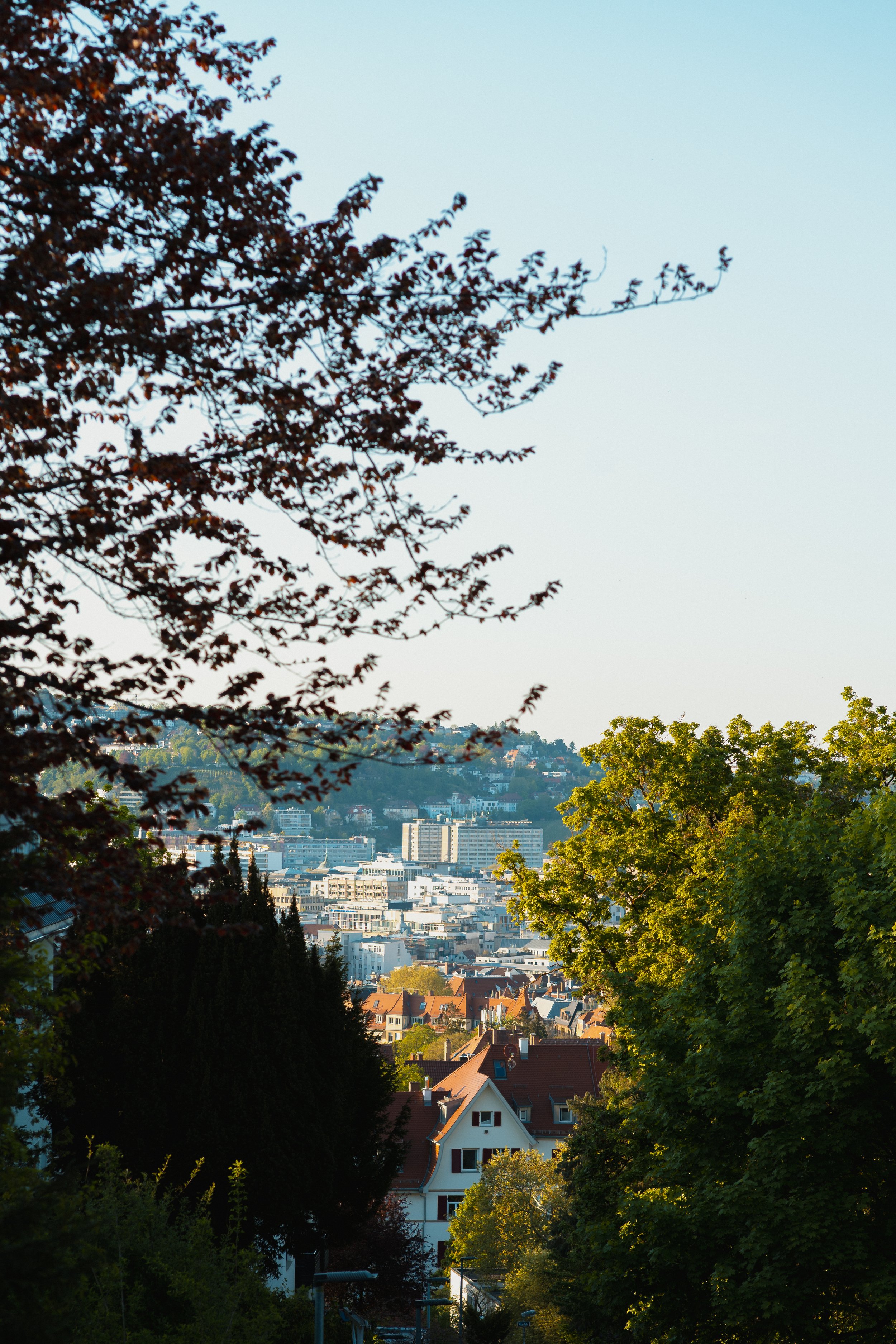 TSE_04_2025_Street-16.jpg