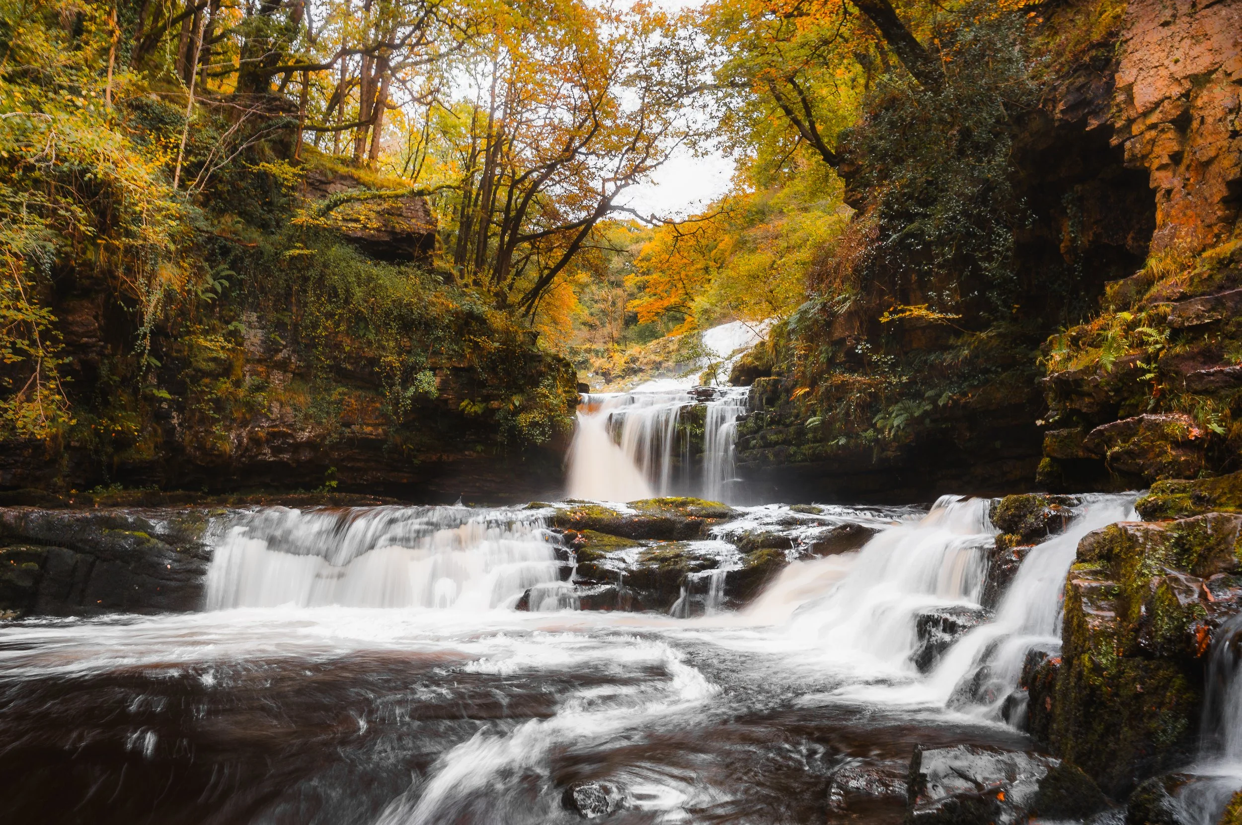 Landscape Version.jpg