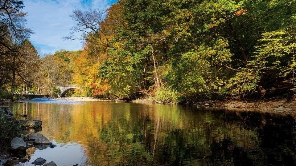 A peaceful river flowing through a forest with trees showing fall colors and a stone bridge in the background.