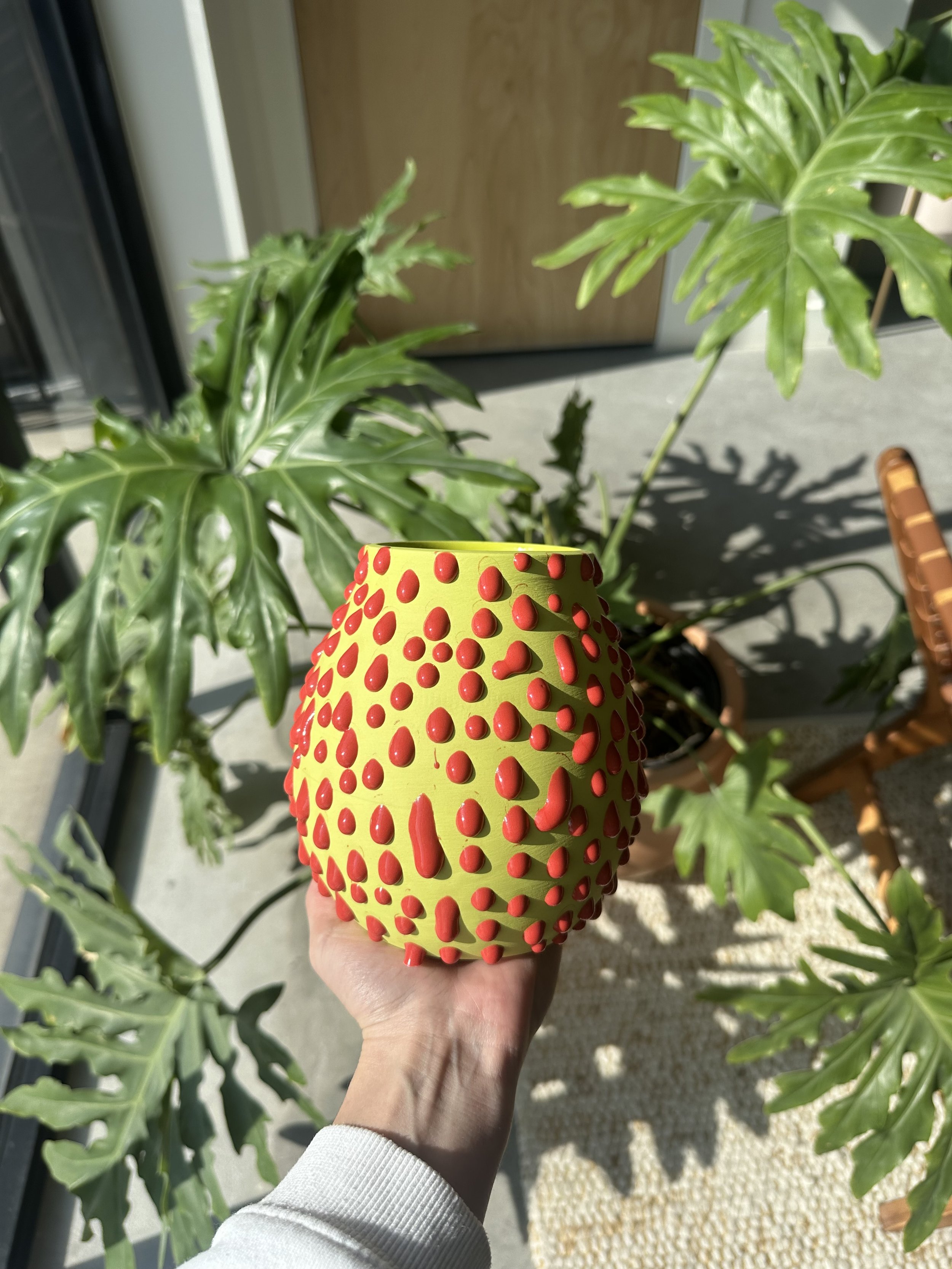 IMG_5236.jpeg