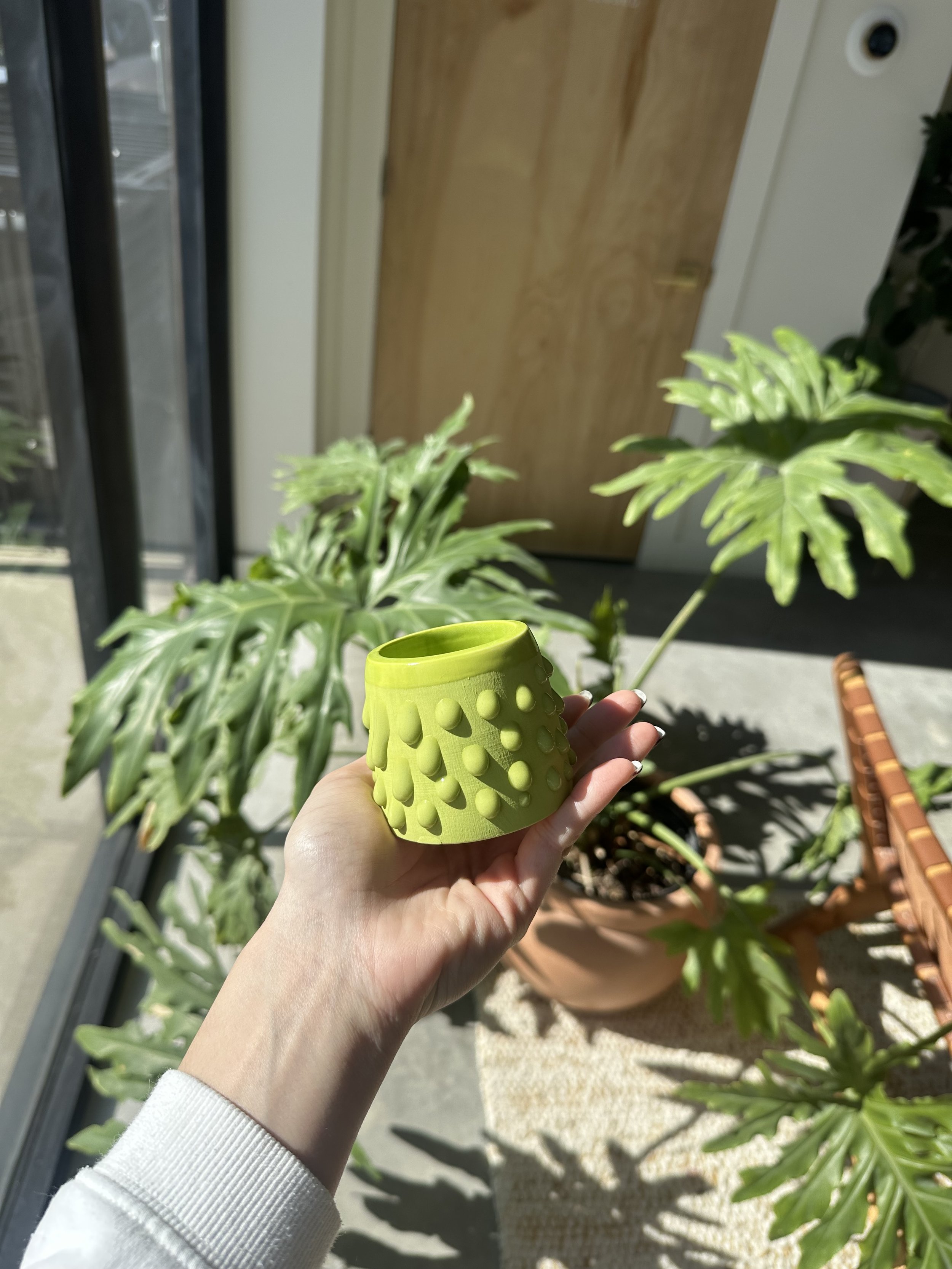 IMG_5481.jpeg
