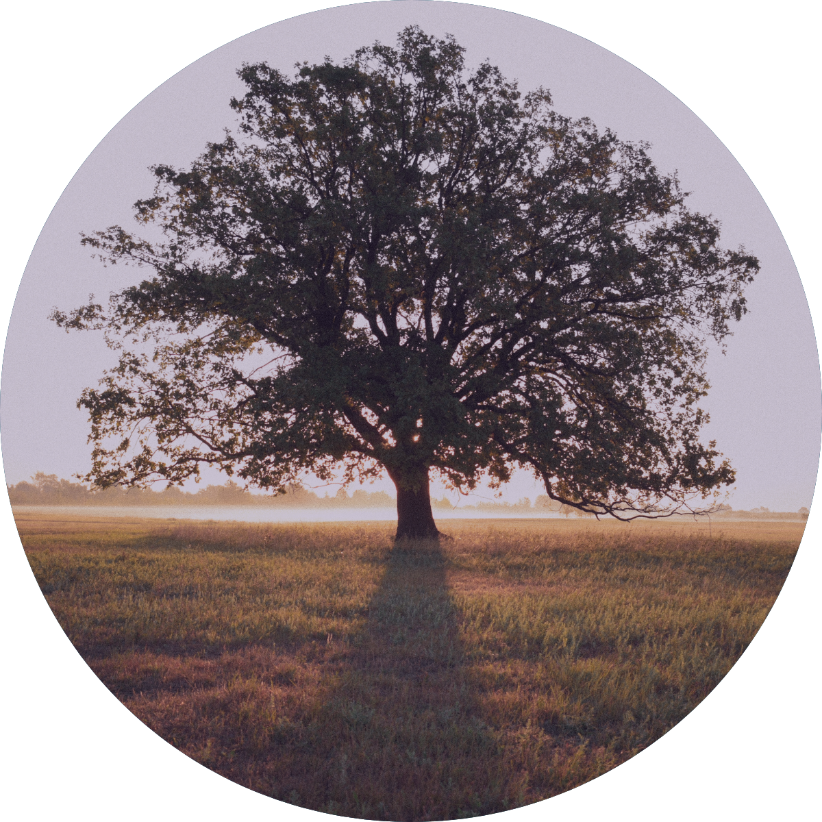 Stopping the Bleed: How to Identify Low-Propensity Leads Before You Nurture Them