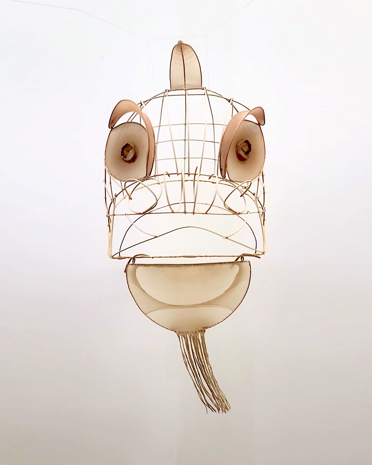 Lion's Head