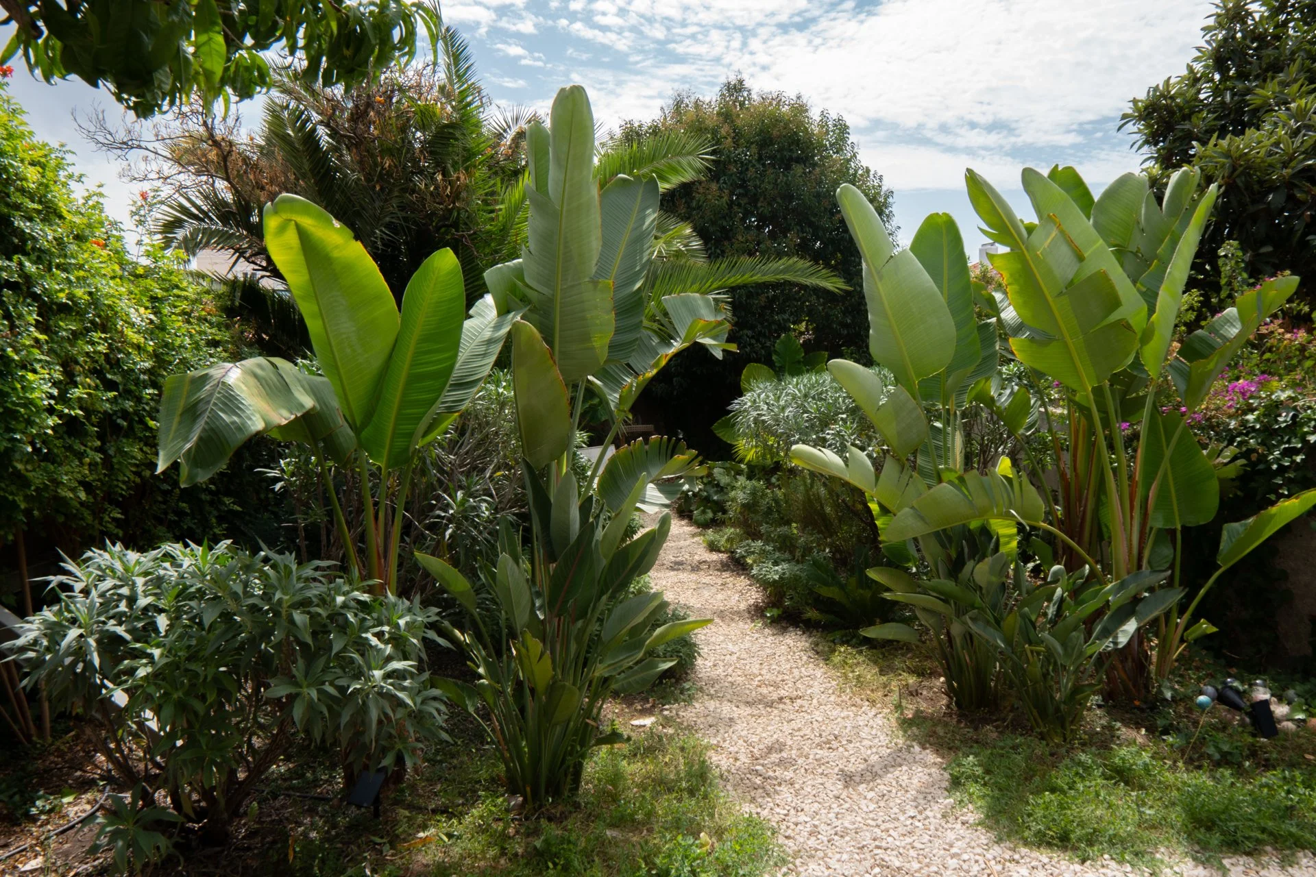 garden-design-ajuda-lisbon-portugal-5.jpg