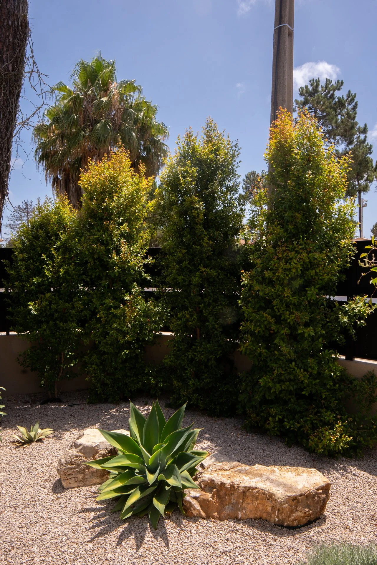 garden-design-verdizela-portugal-7.jpg