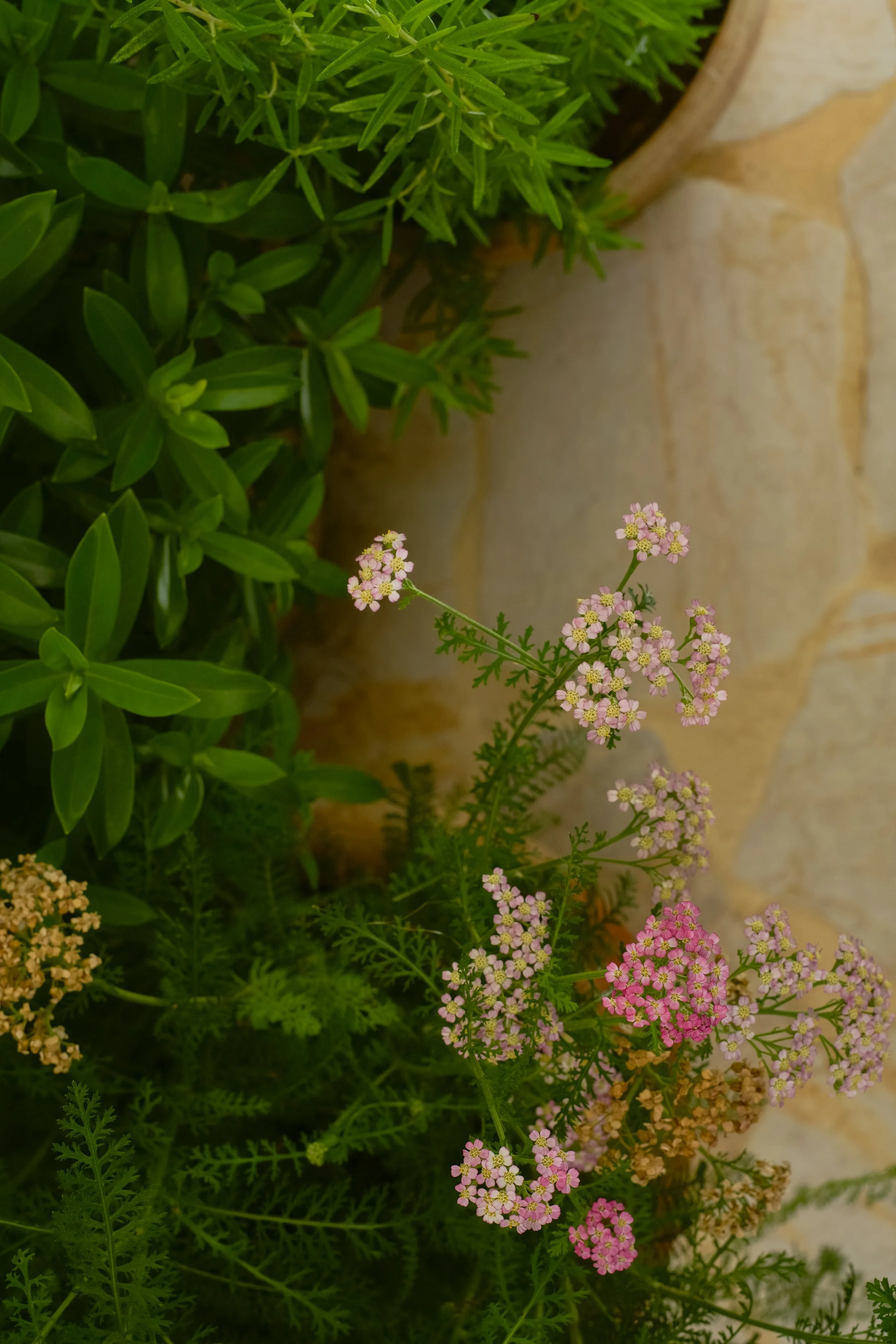 landscape-design-terrace-lapa-lisbon-13.jpg