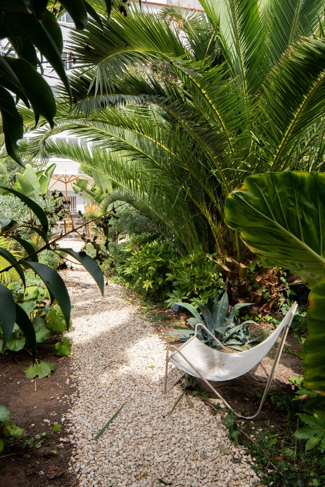 garden-design-ajuda-lisbon-portugal-4.jpg