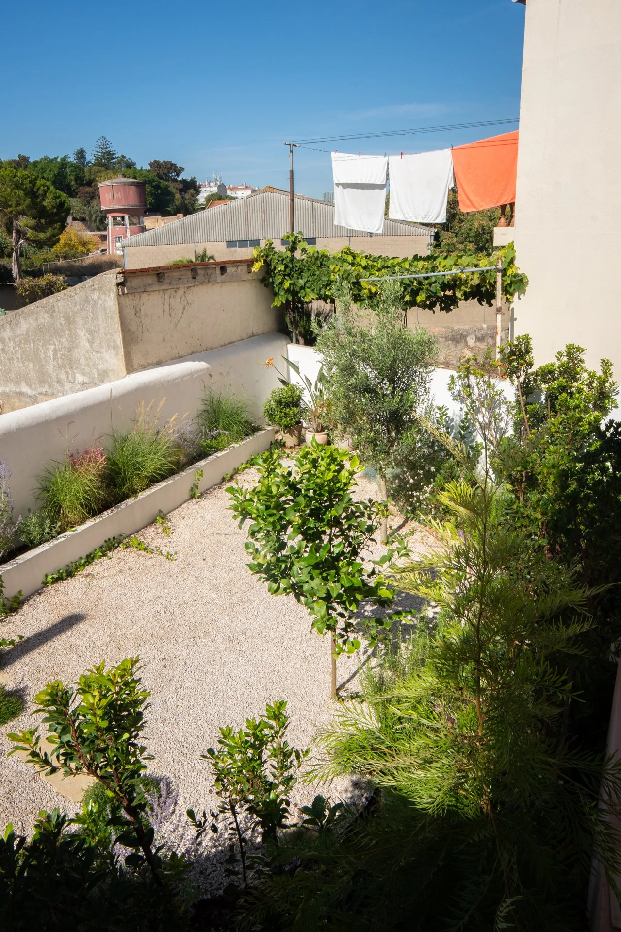 garden-design-beato-lisbon-portugal-3.jpg