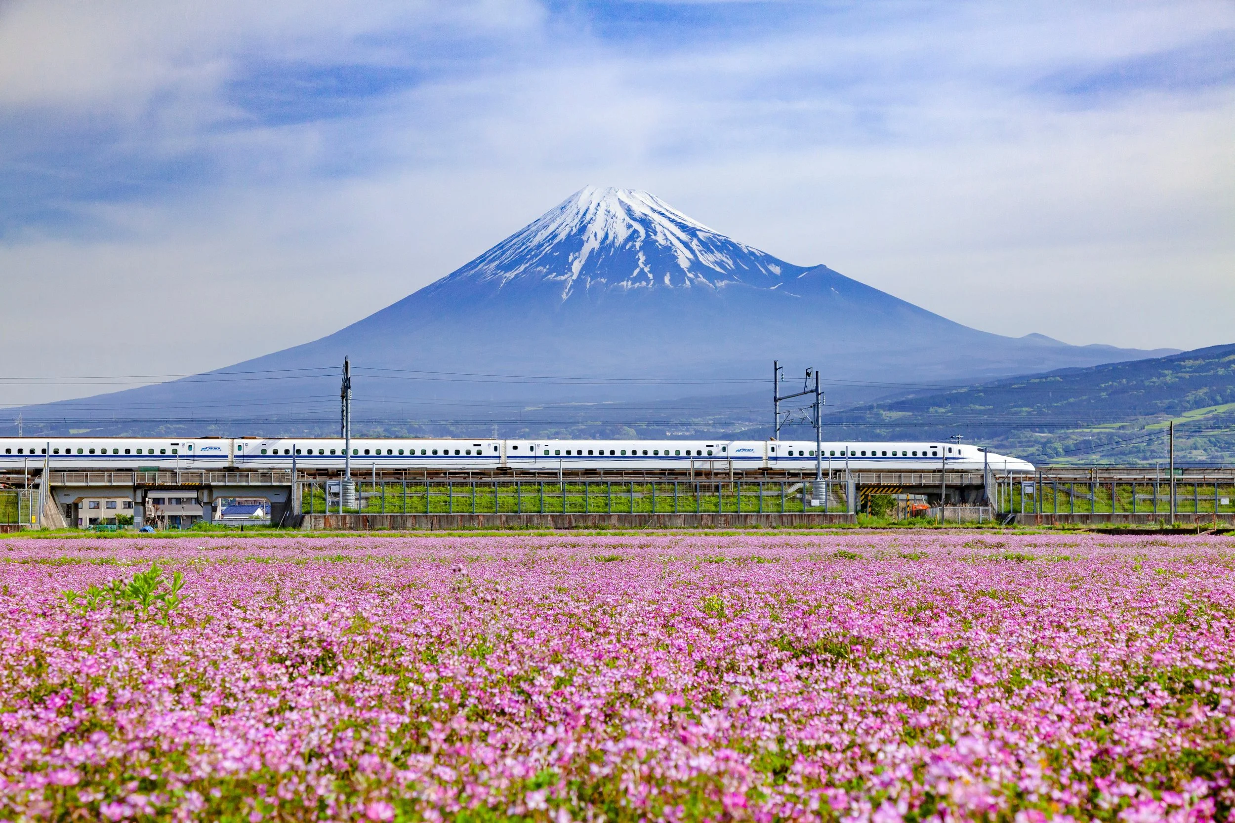 Shinkansen - HIS Japan 8.26.jpeg (Copy) (Copy)