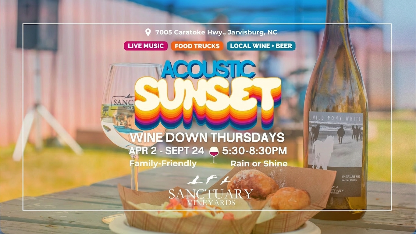 Acoustic Sunset Fundraiser