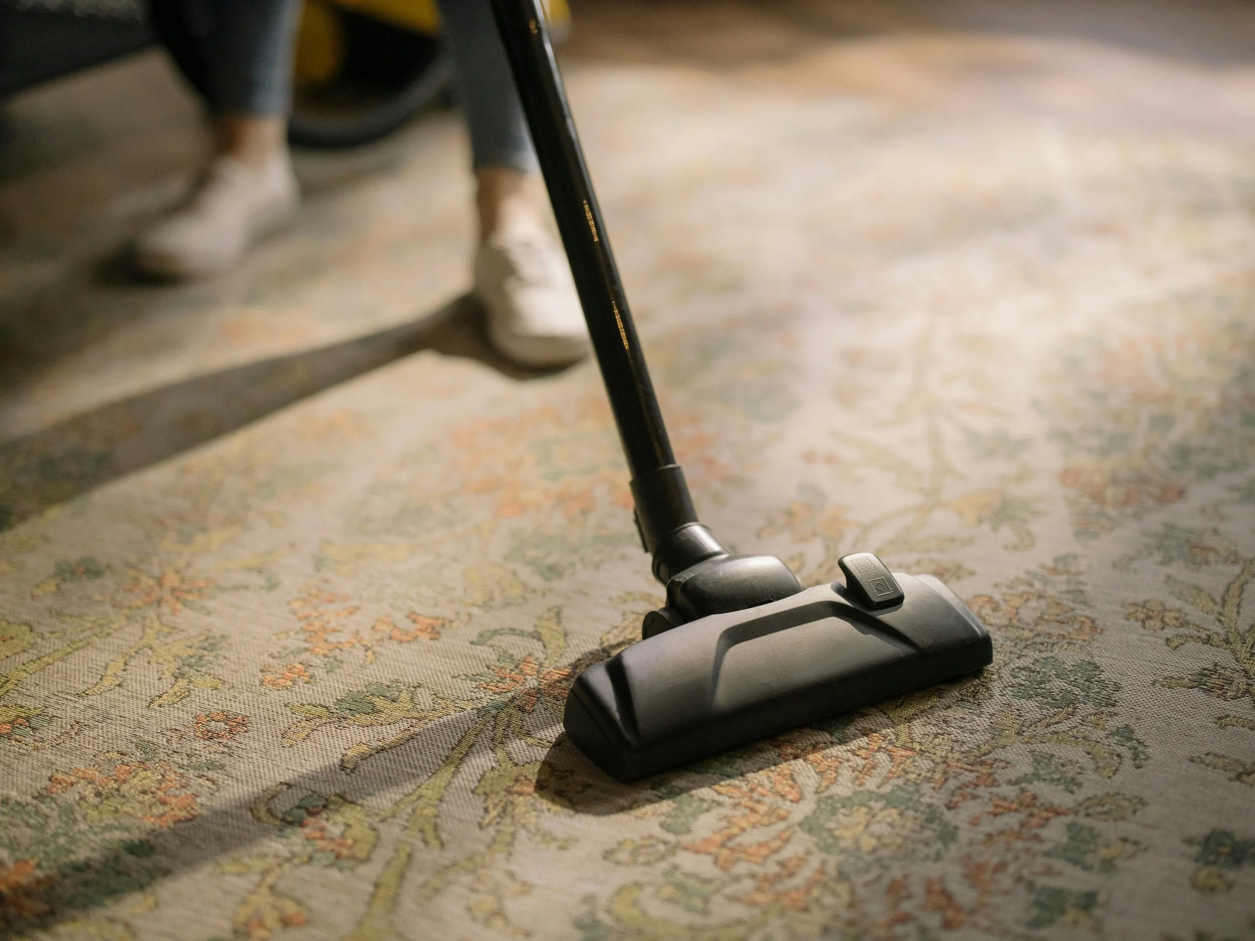 person vacuuming carpet during spring in Burlington