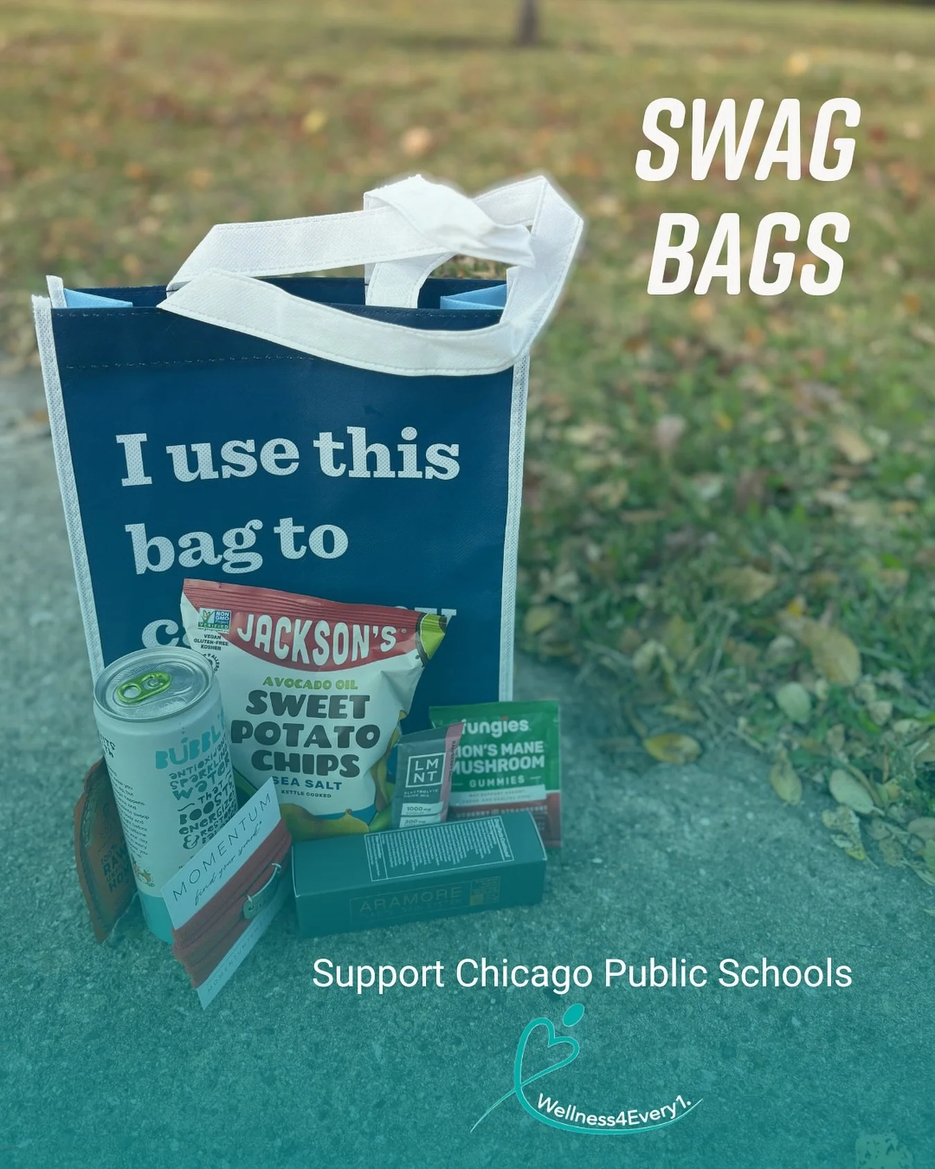 These are just a few of our brand partners this fall! Be sure to donate to Wellness4Every1 at any of our upcoming events and you&rsquo;ll receive a swag bag with goodies from our favorite partners!

Thanks so much @lifewaykefir @snackjacksons @drinkb