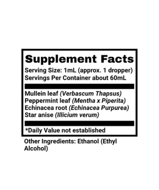 IT.png