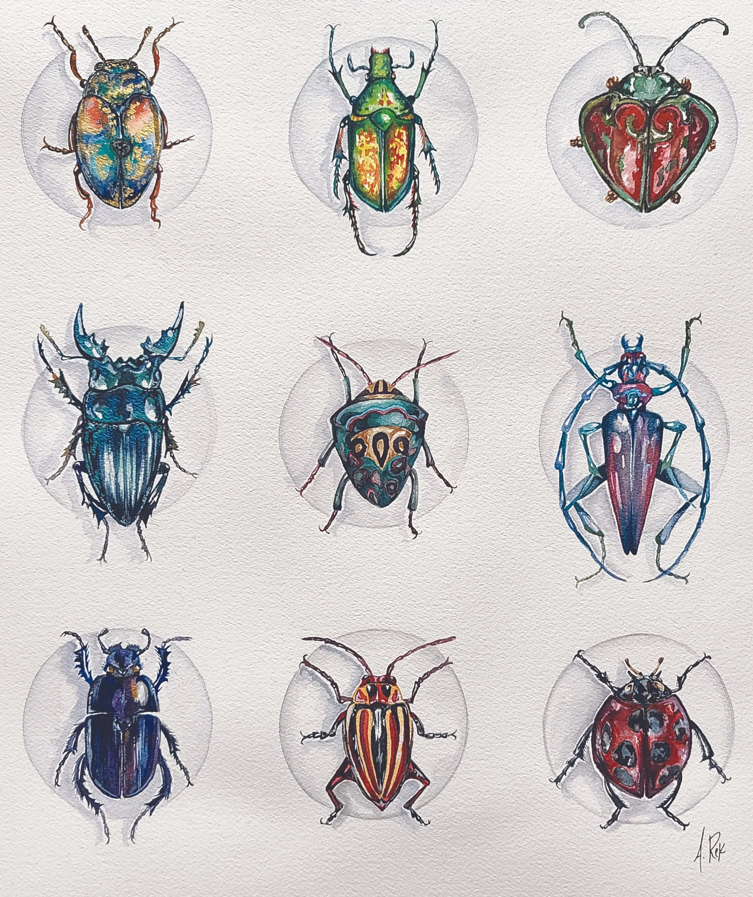 beetles copy.jpg
