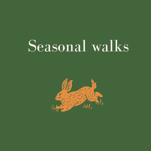 Seasonal nature connection walks in Winchester Hampshire