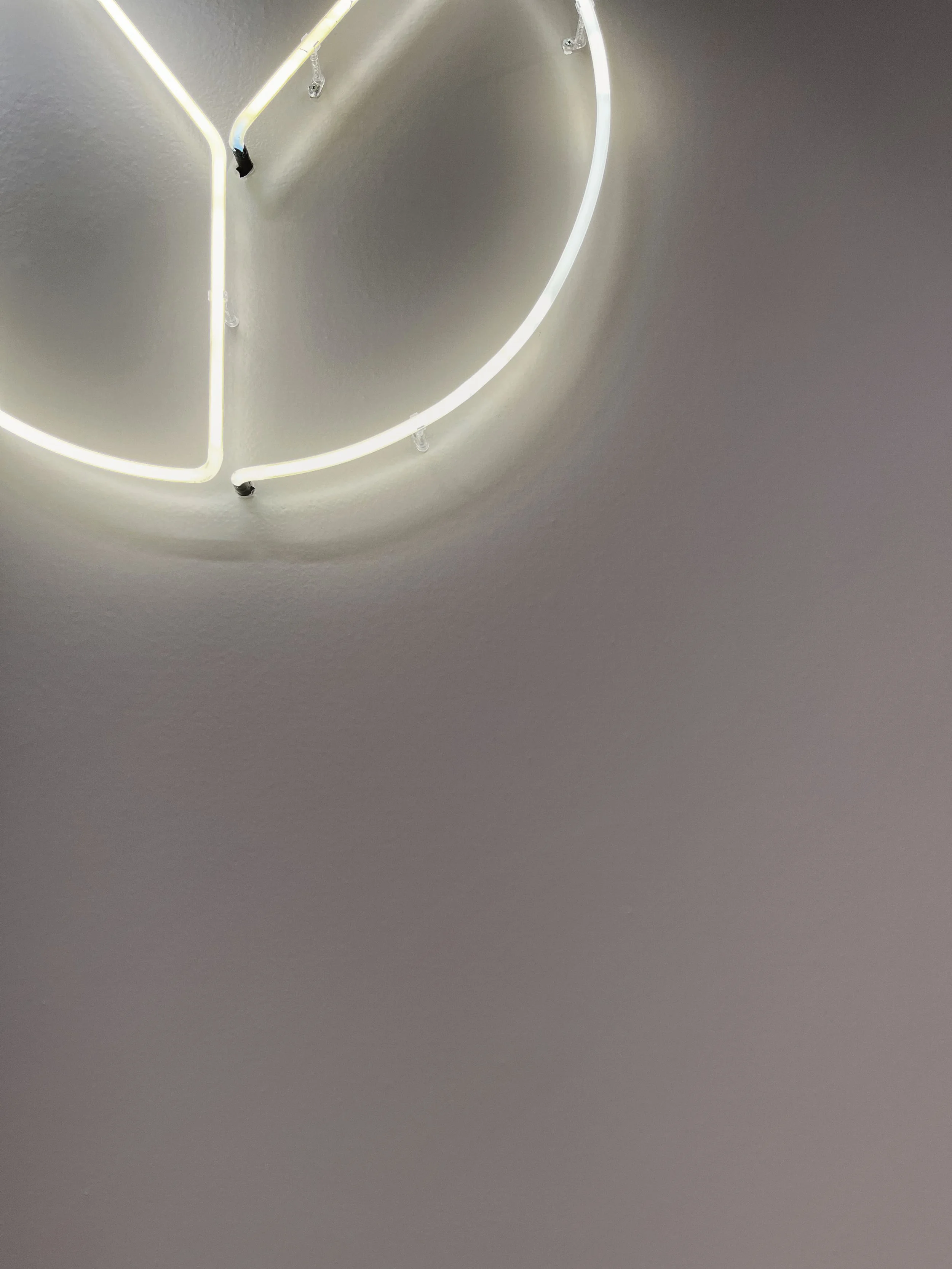 Logo en néon à la réception du yoga club par inscape le studio